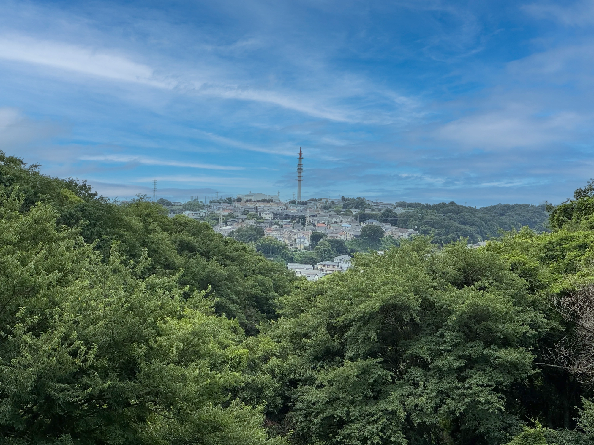 遠景の塔が見える園内