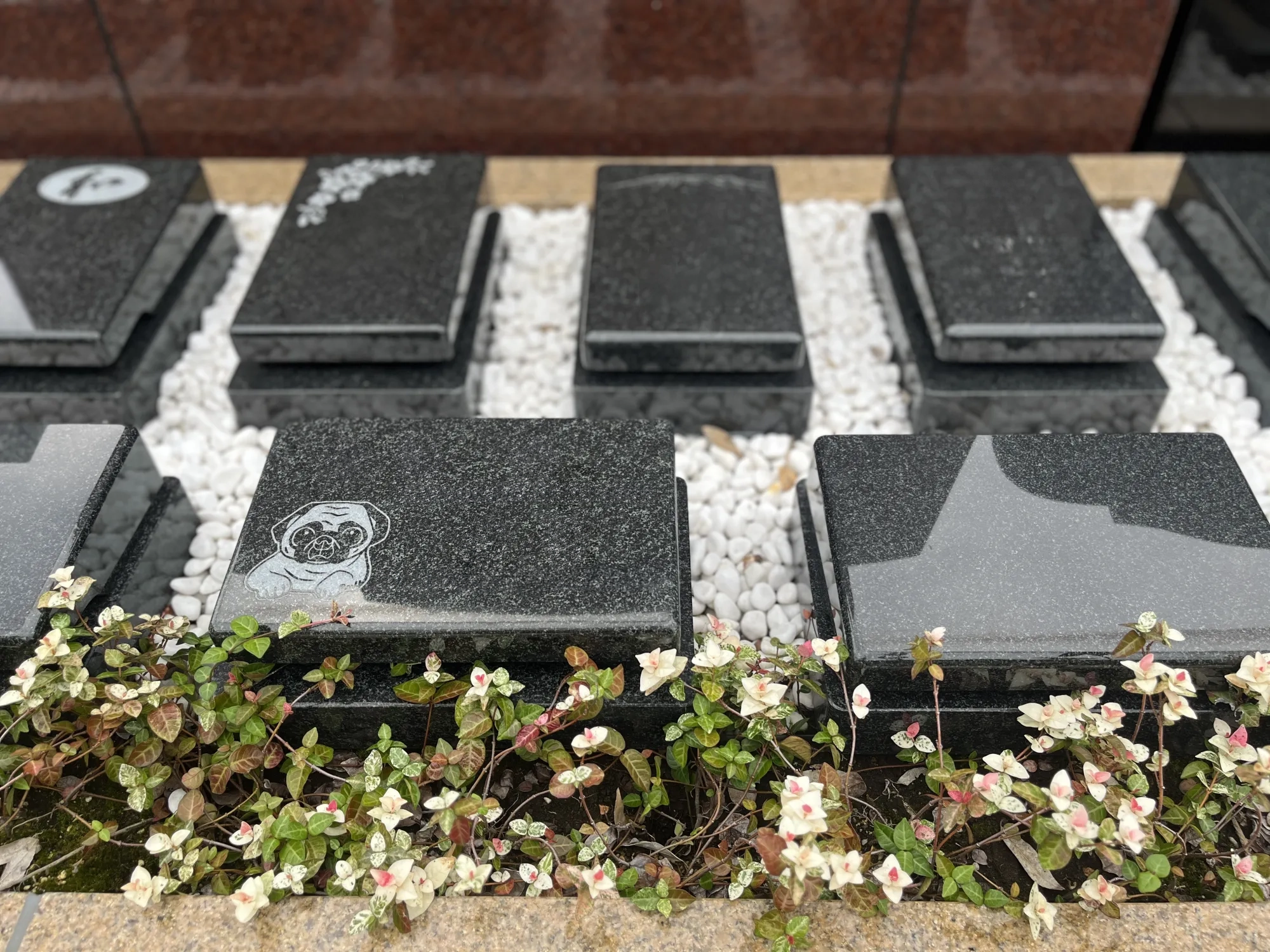 植栽に囲まれたエールのプレート