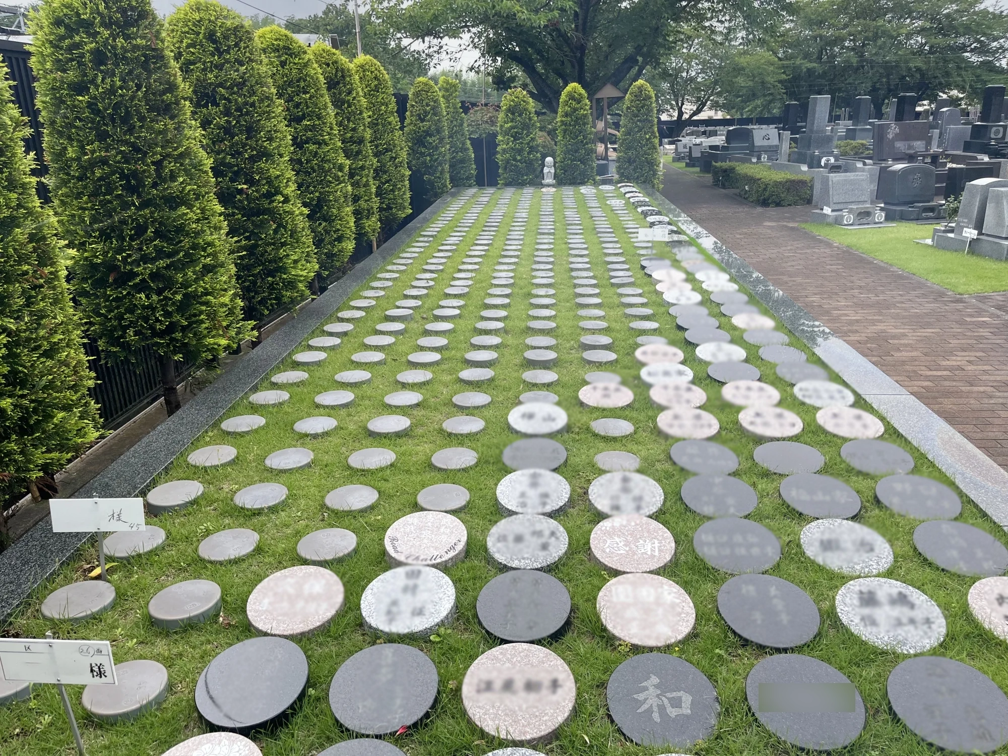 樹木葬区画
