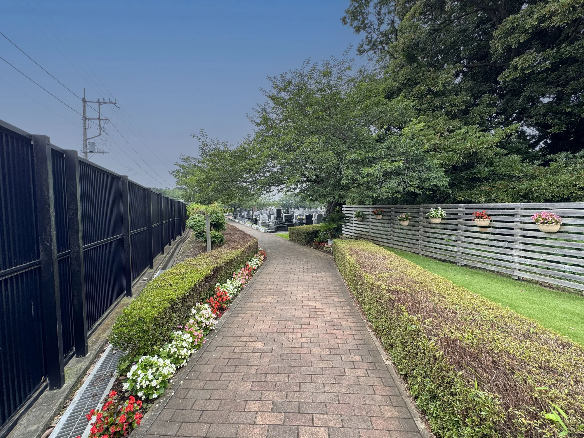 花壇沿いの参道