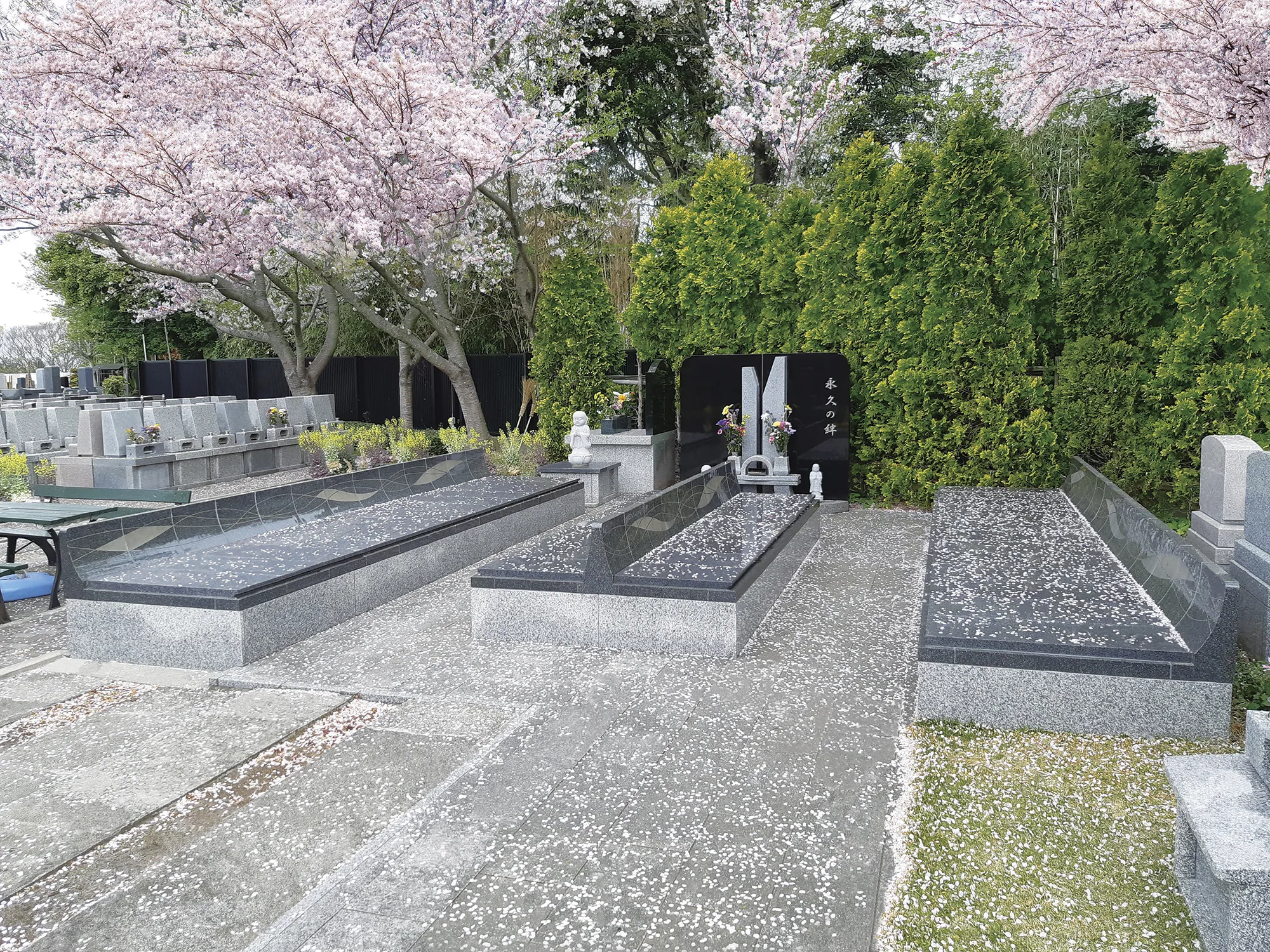 桜満開の時期