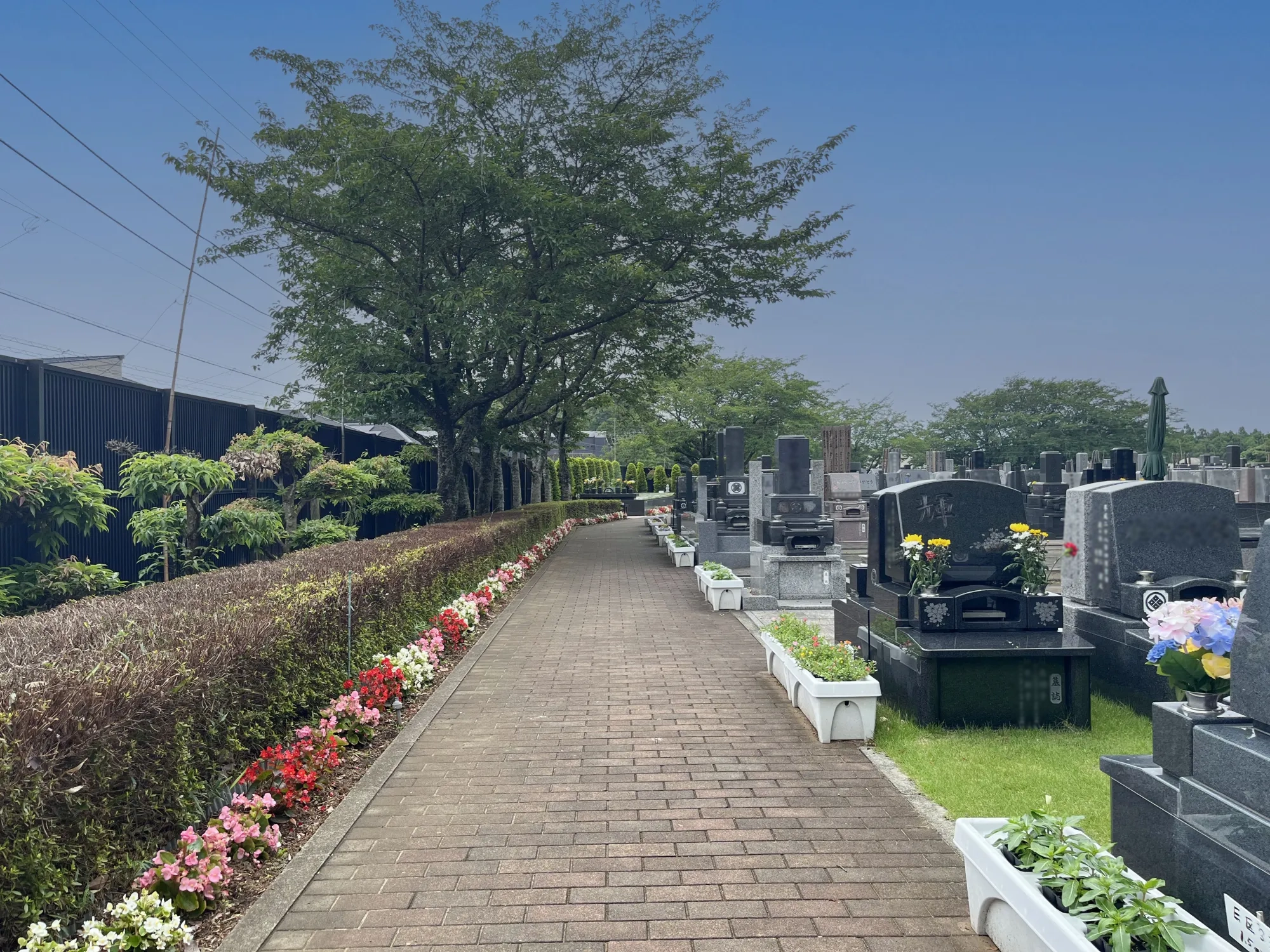 花壇と芝生墓所の参道
