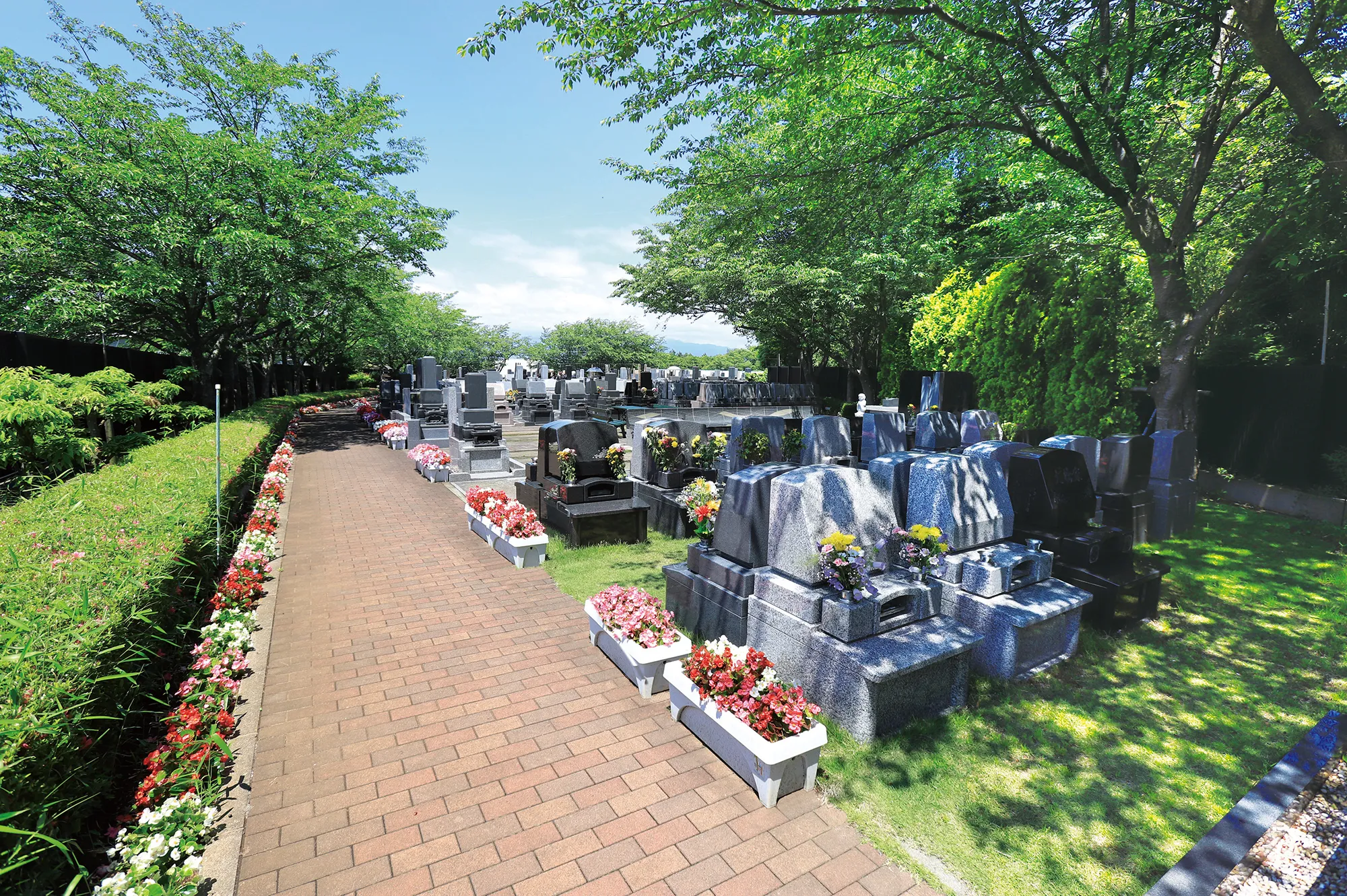花壇沿いの参道と芝生墓所