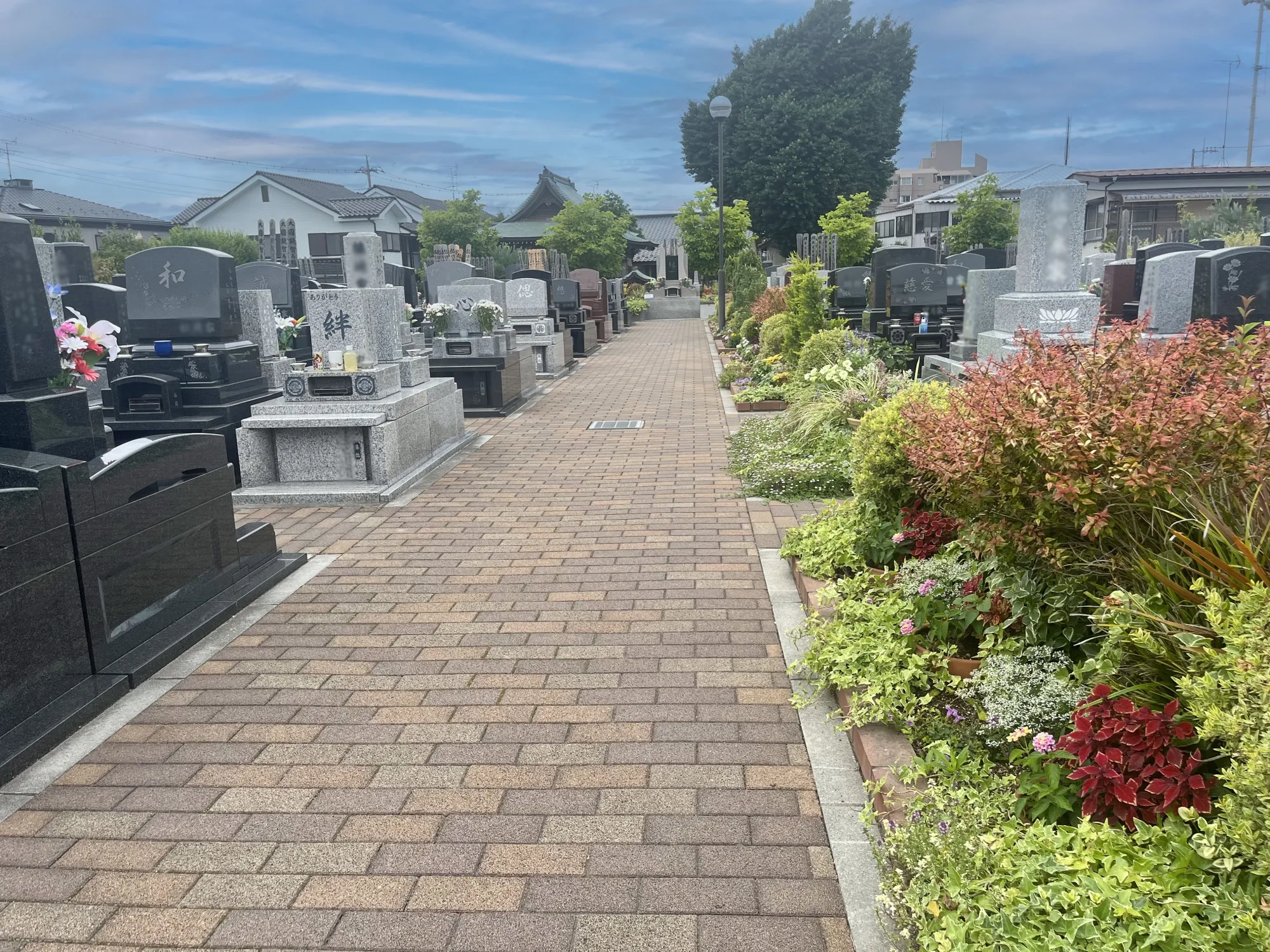 園内風景