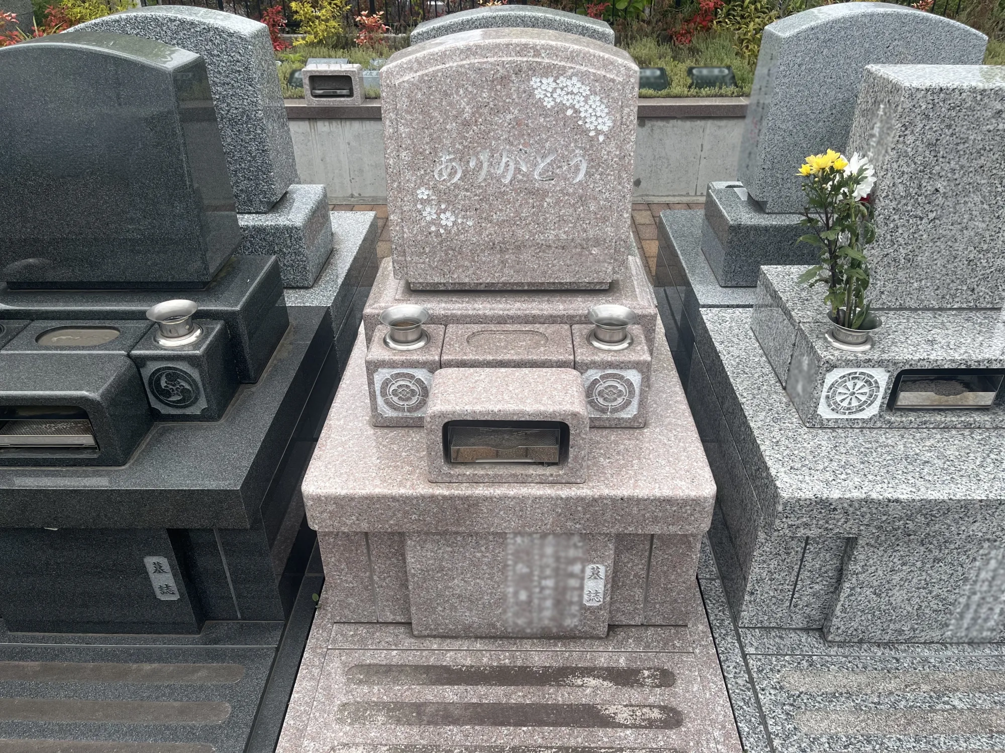 園内風景