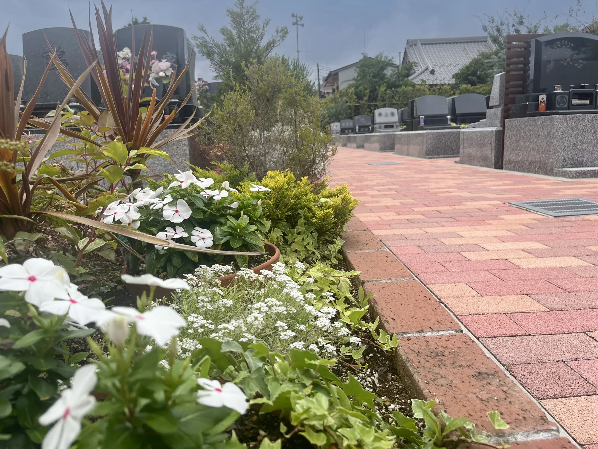 園内風景