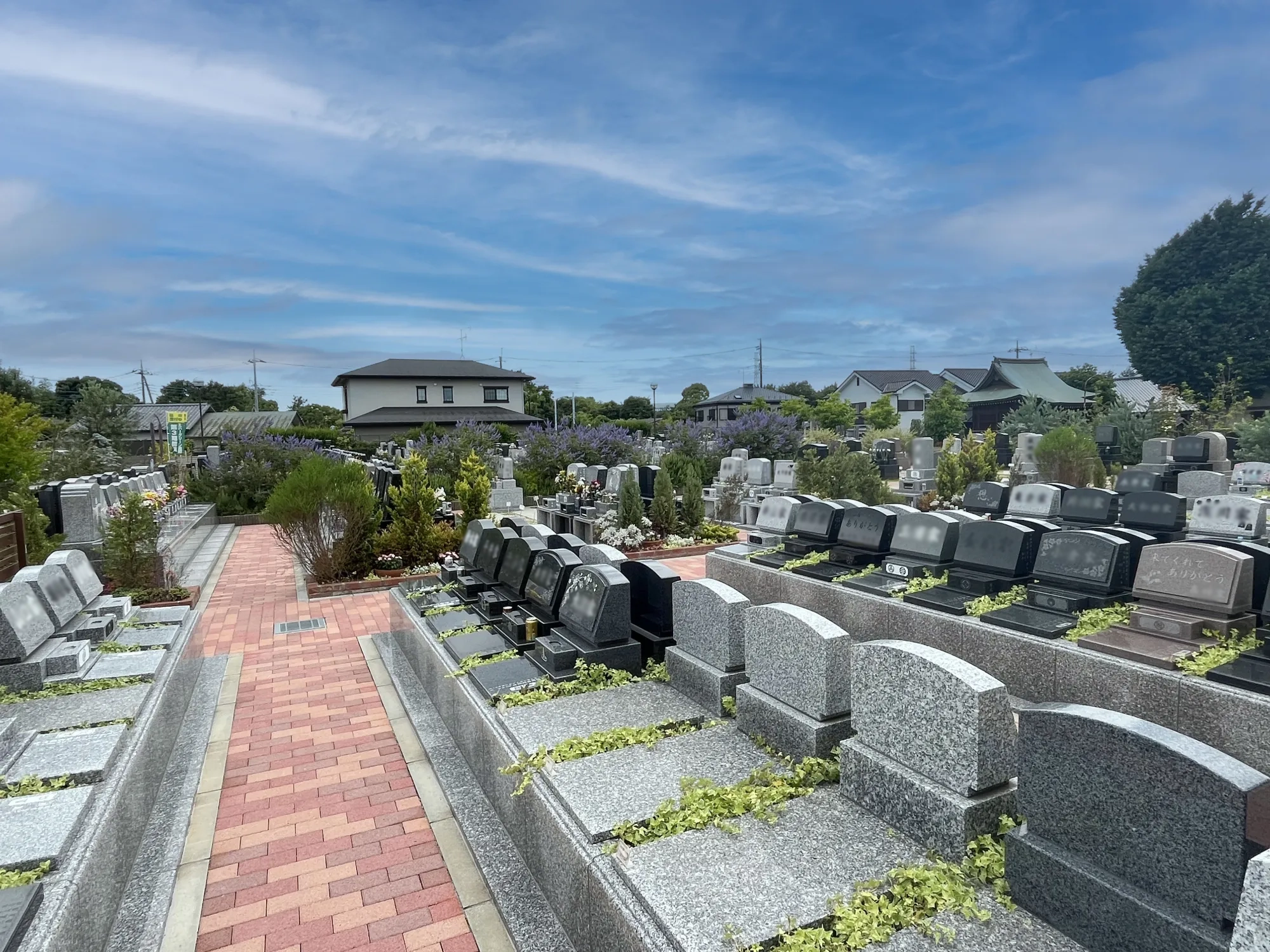 園内風景