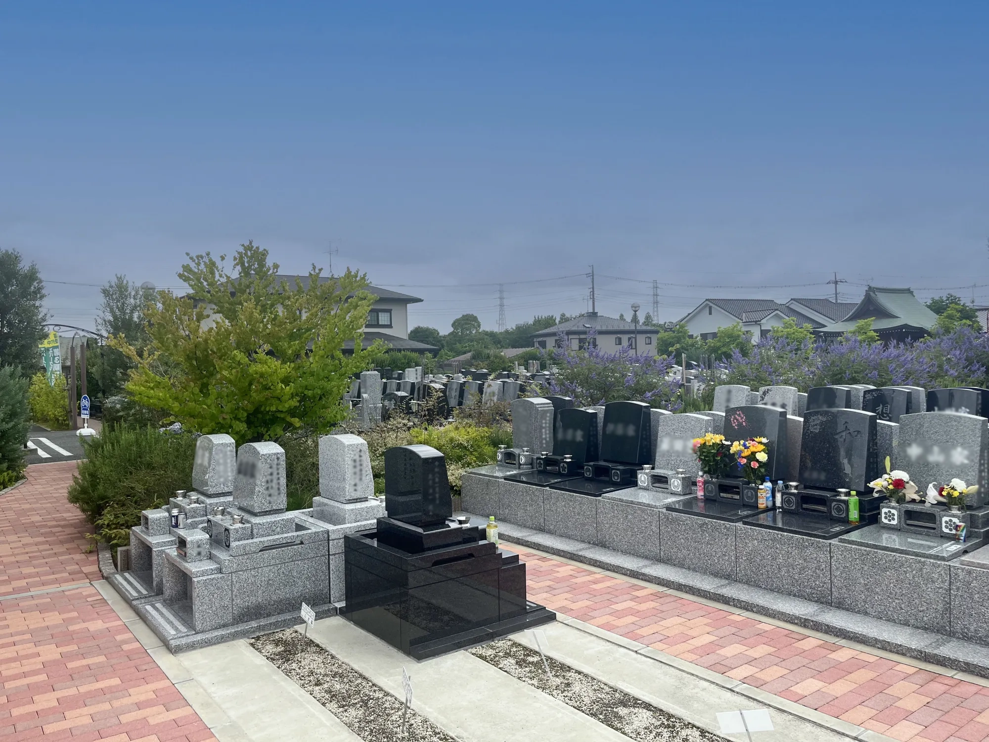 園内風景