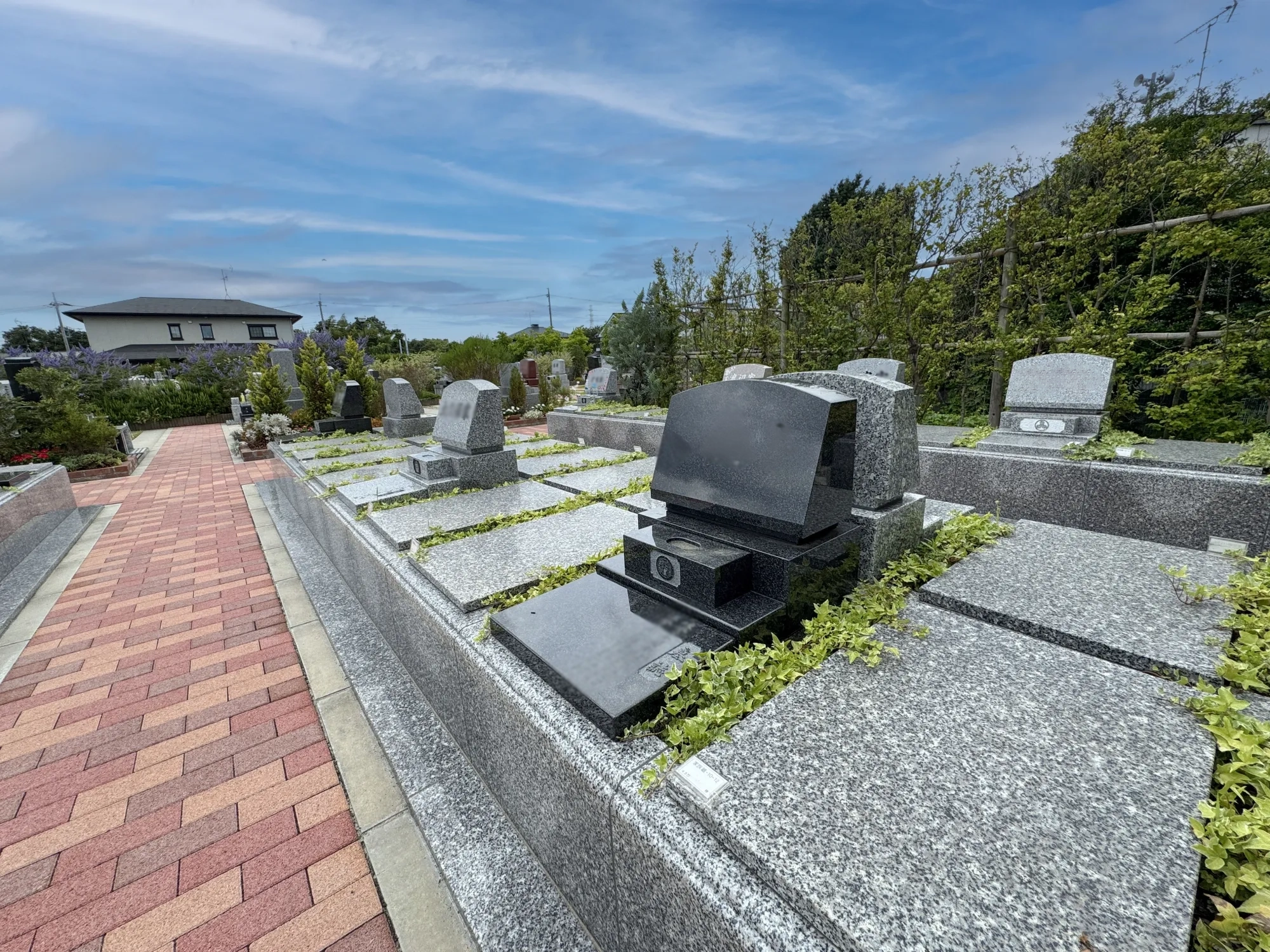 園内風景