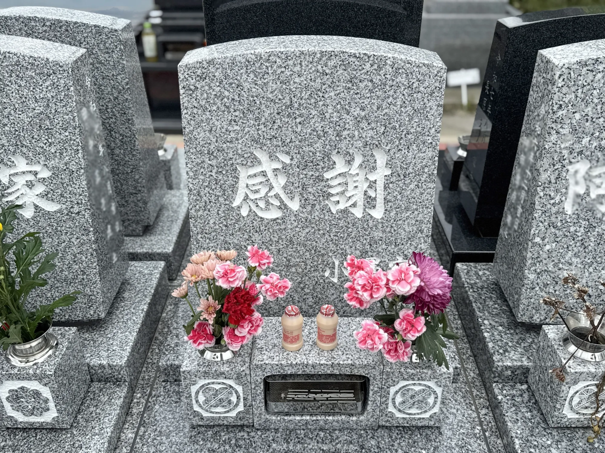 園内風景