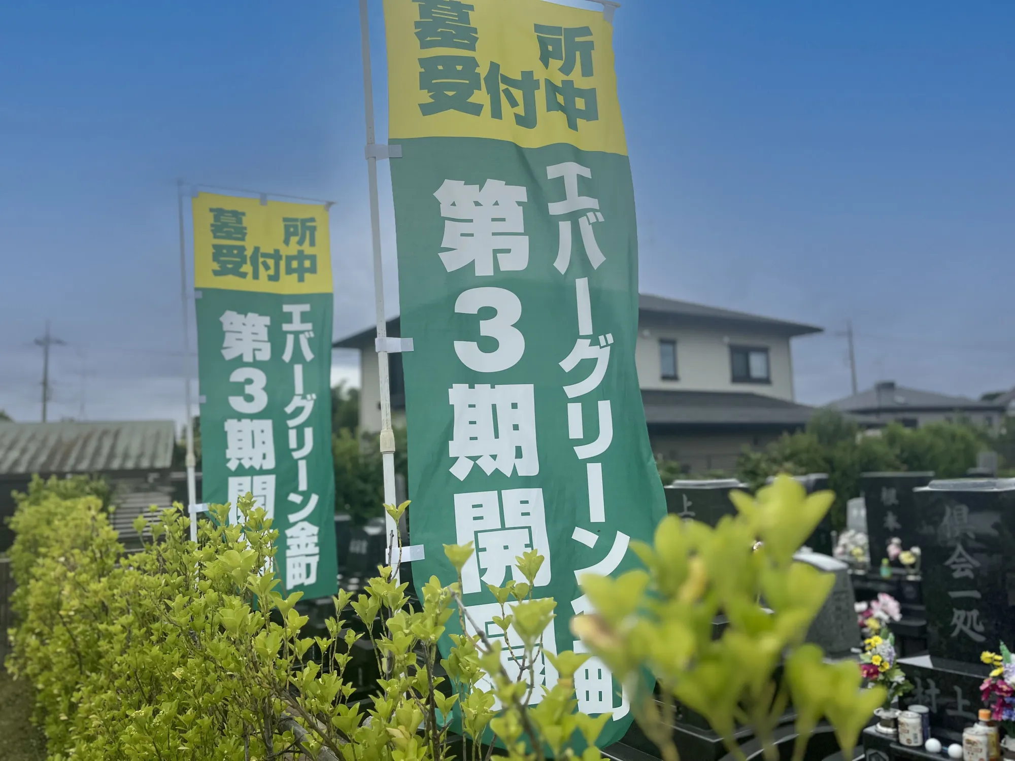 園内風景