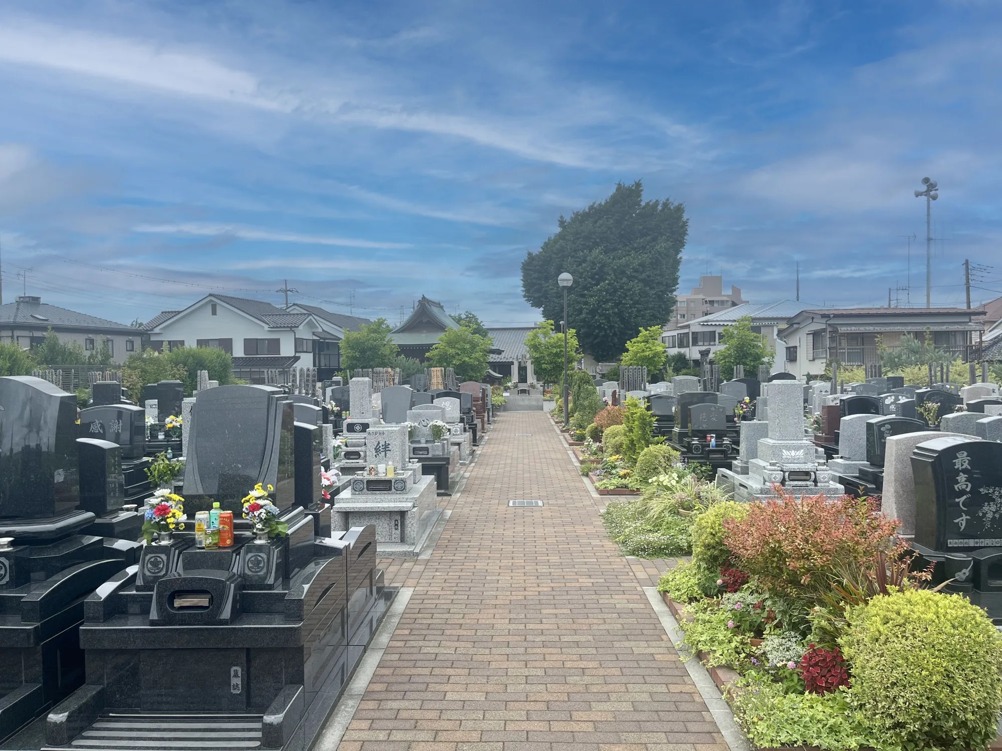園内風景