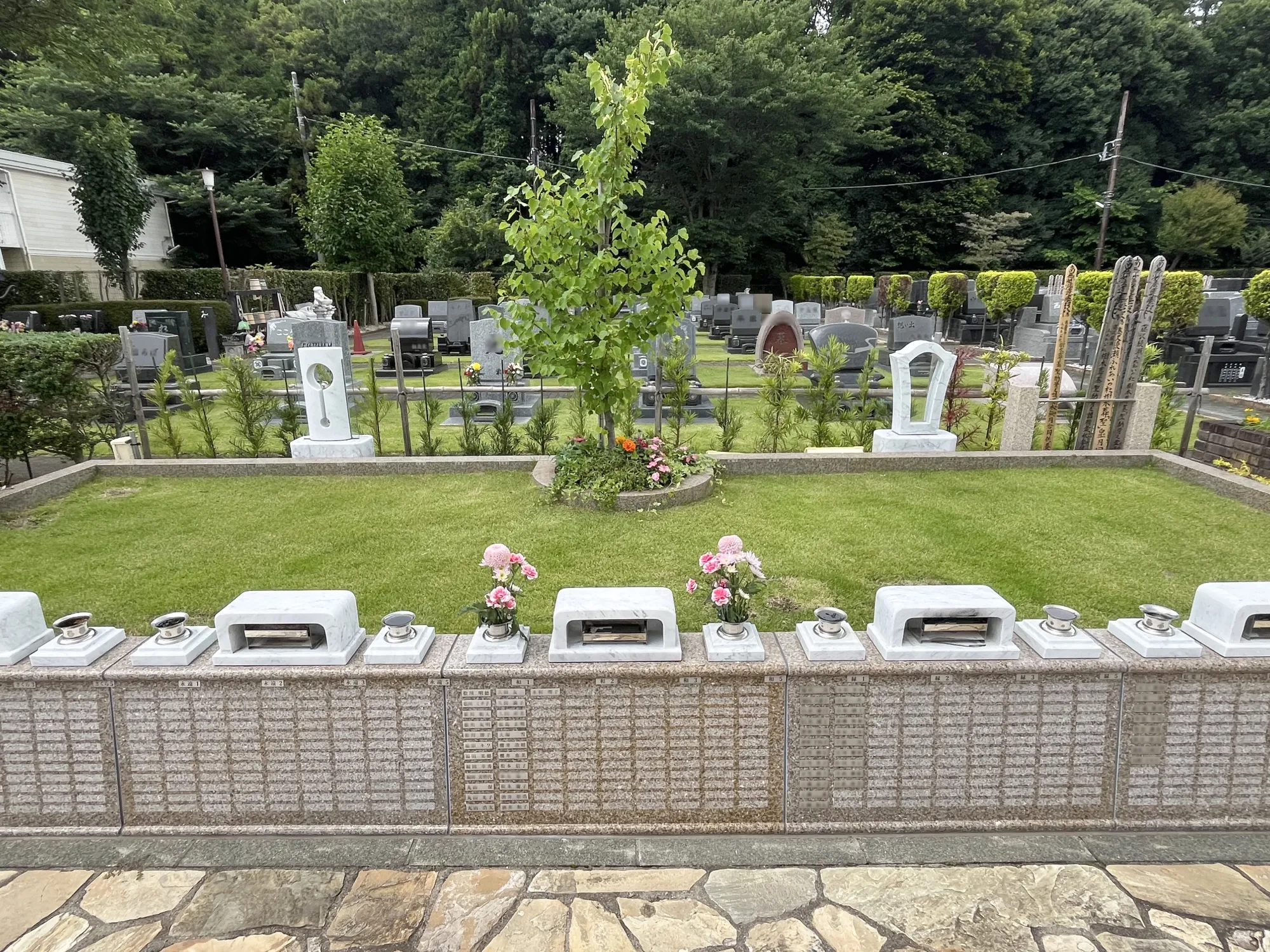 園内写真