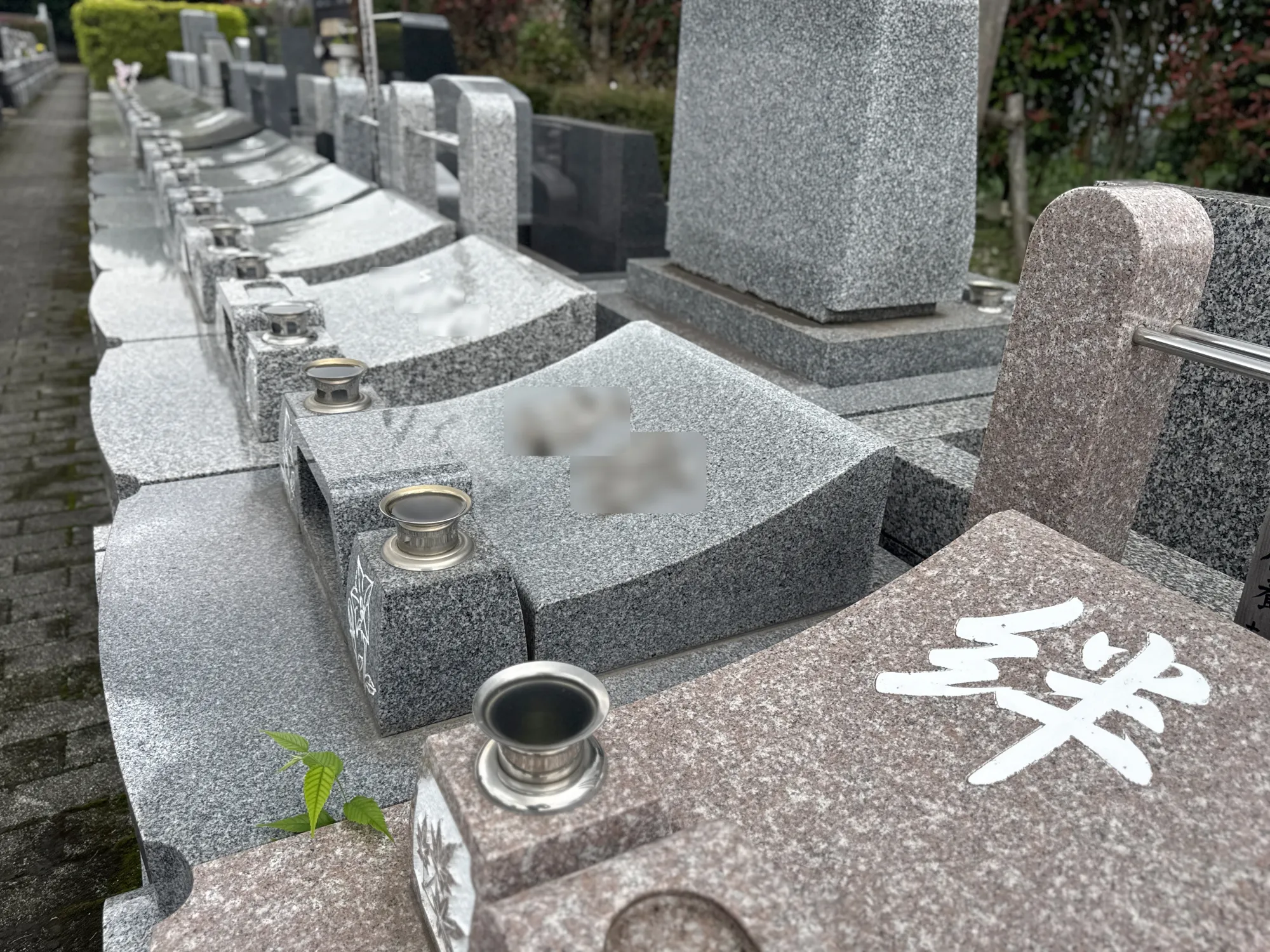 園内写真