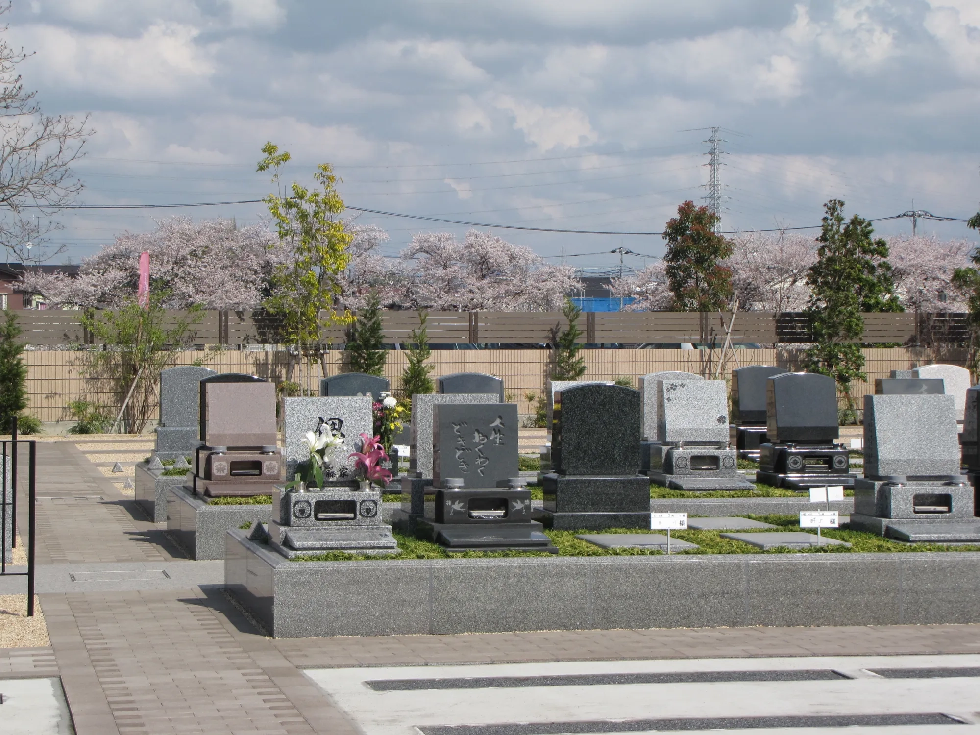 遠景に桜が見える園内