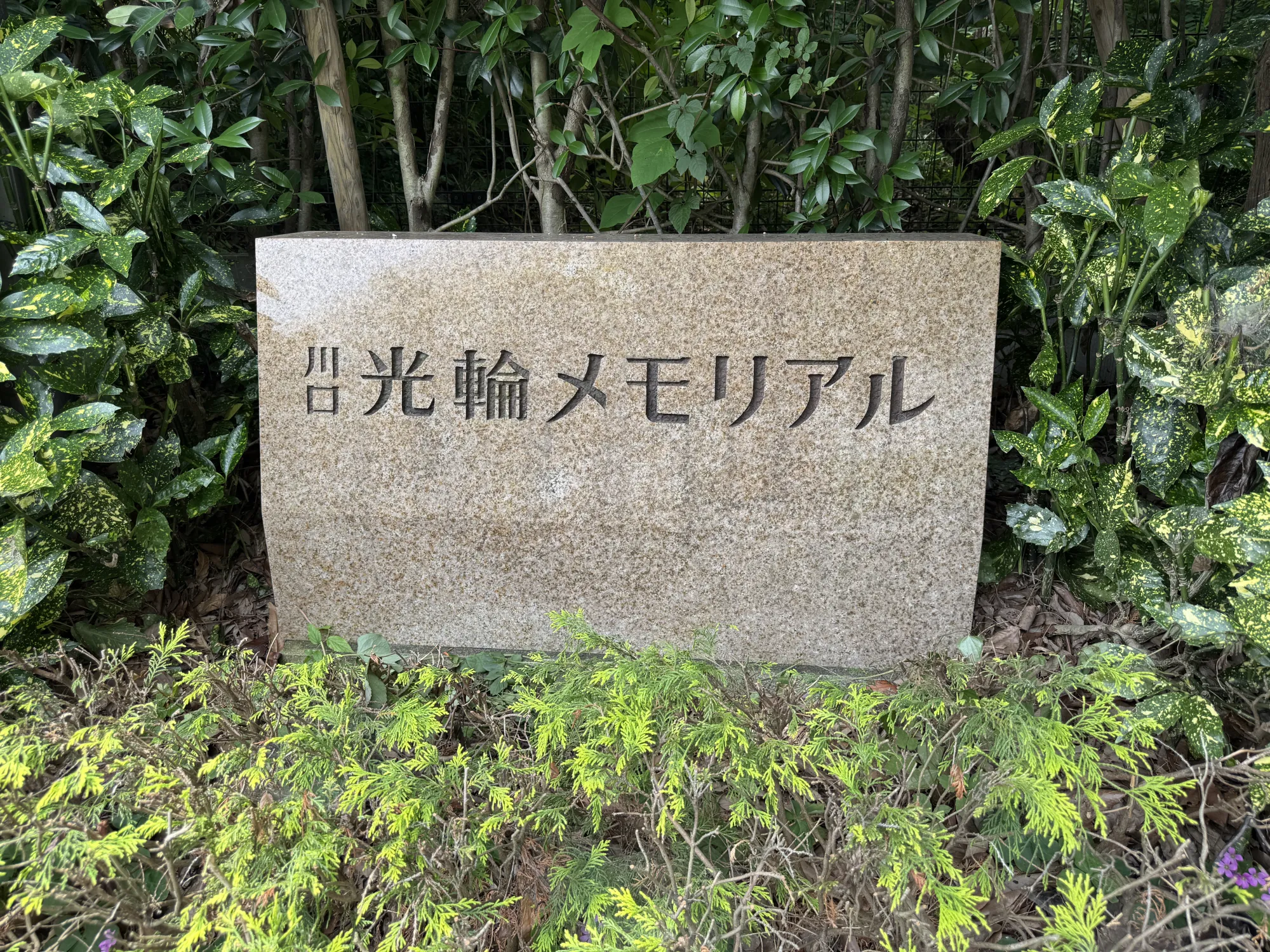 園内風景
