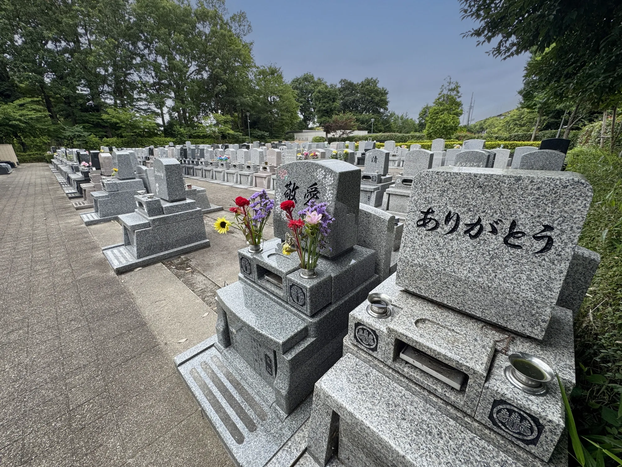 園内風景