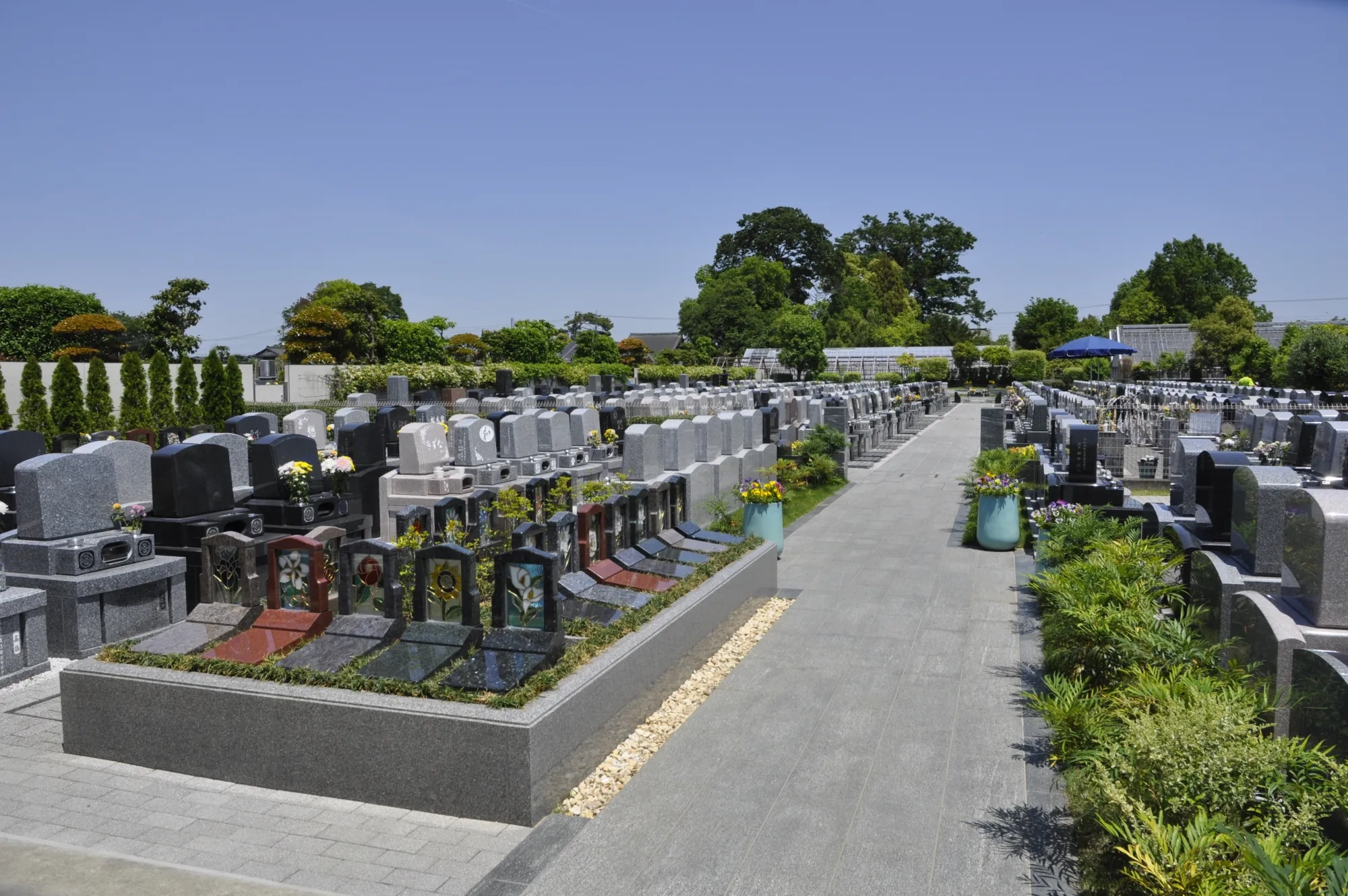 通路と植栽が見える平坦な園内全景