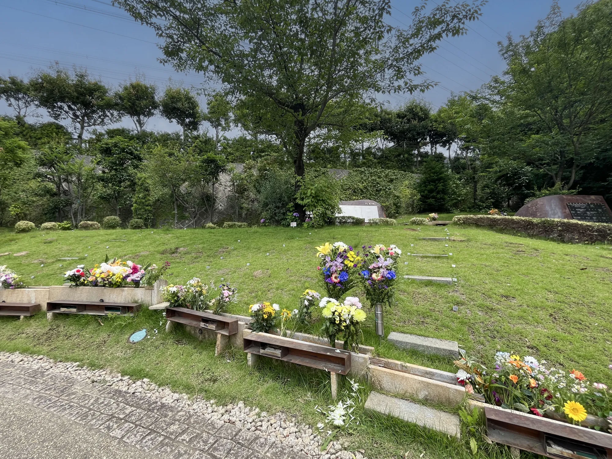 町田いずみ浄苑 樹木葬エリアの芝生