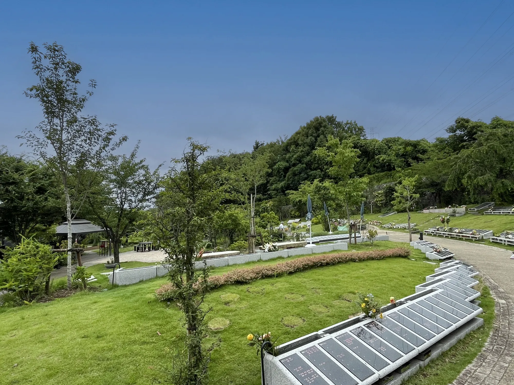 町田いずみ浄苑 芝生と銘板エリア全景