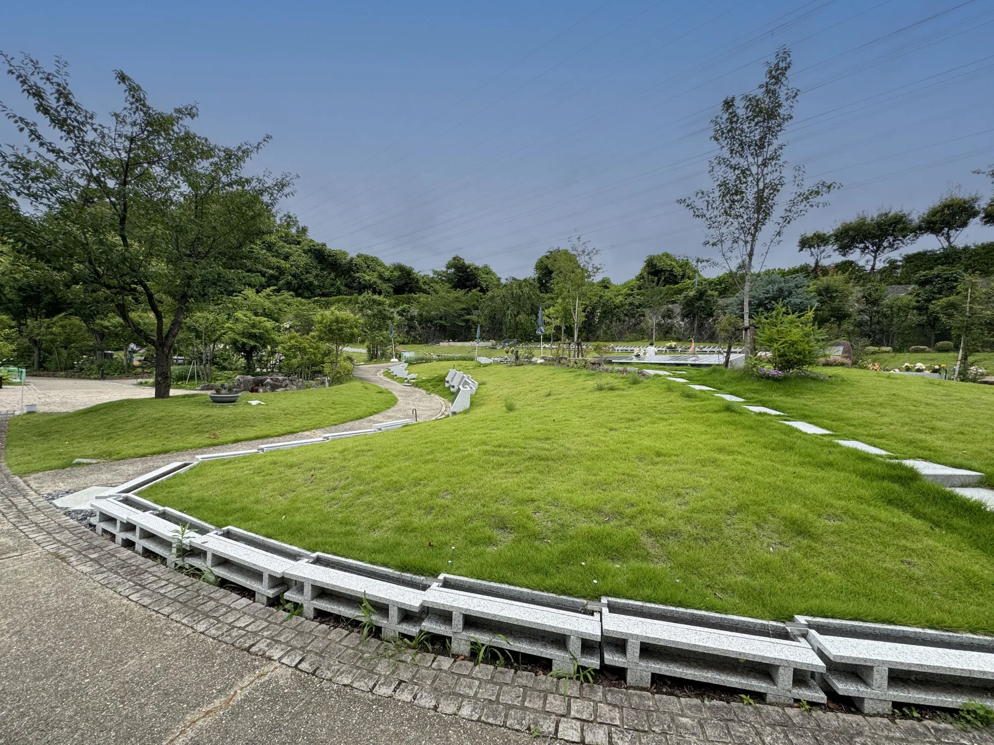 町田いずみ浄苑 緑の斜面と園路