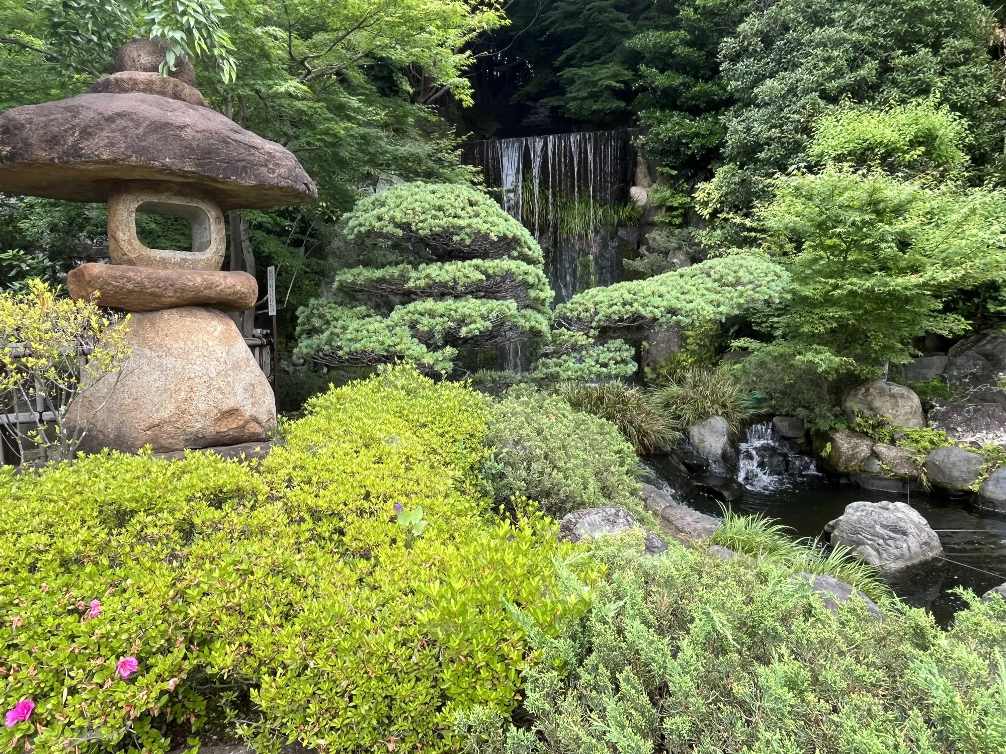 園内風景