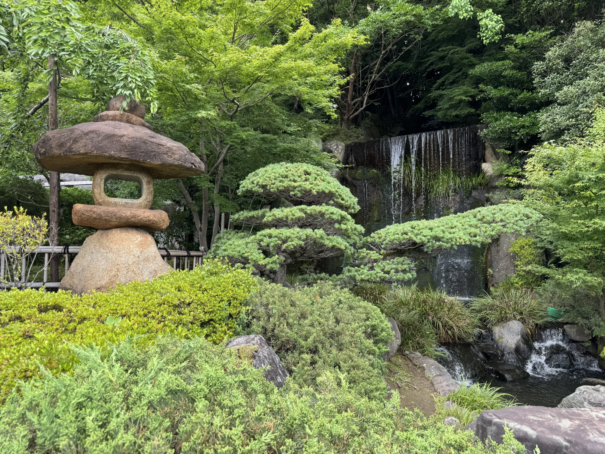 園内風景