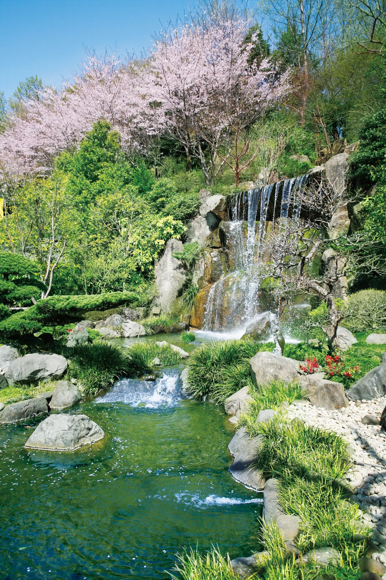 園内風景