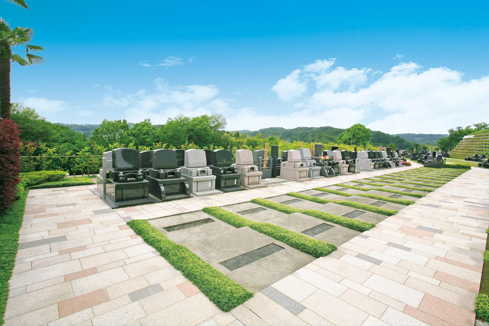 西京の区 一般墓所全体