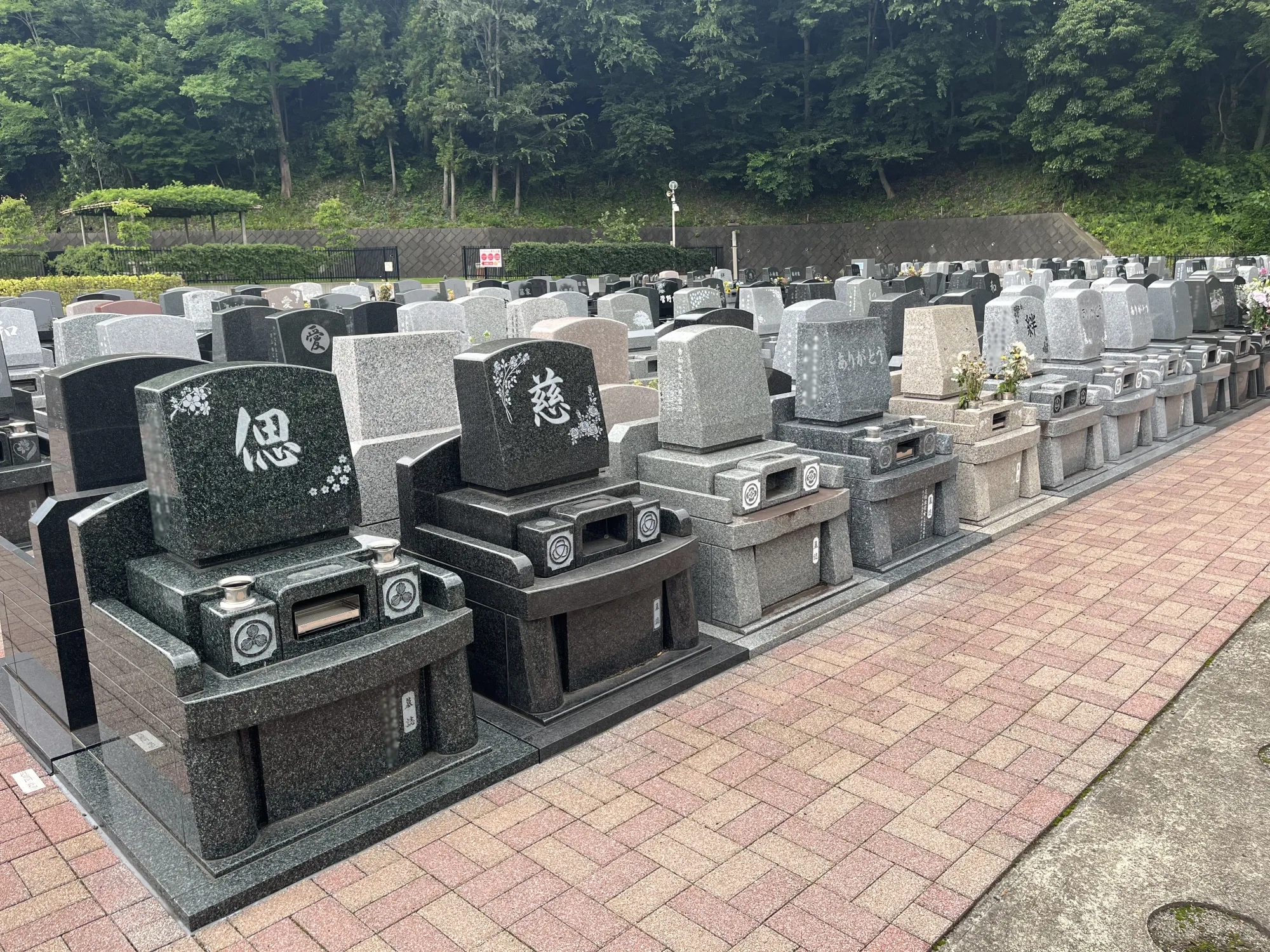 メモリアルパーク厚木ふるさとの丘 園内風景24