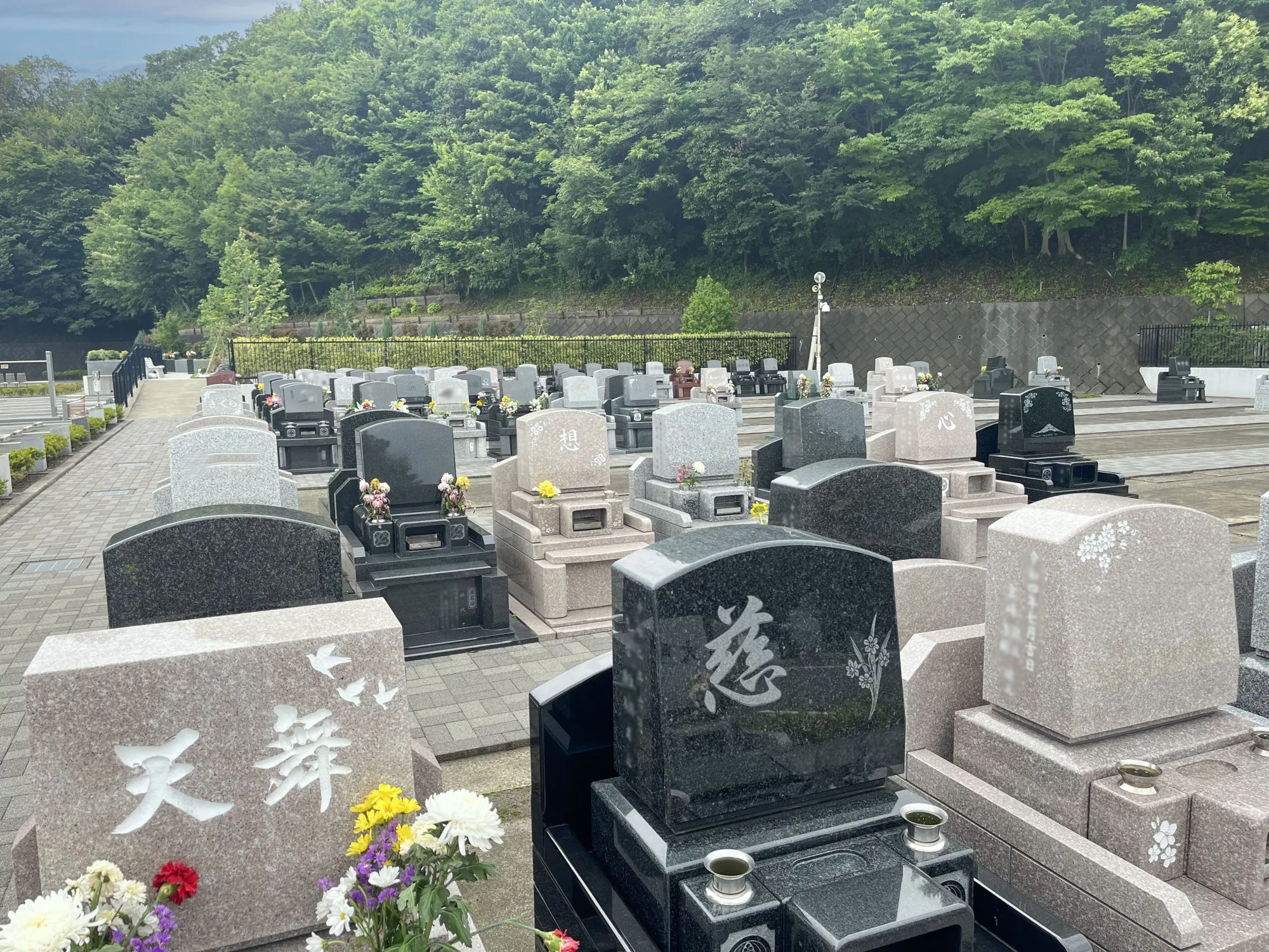 メモリアルパーク厚木ふるさとの丘 園内風景30