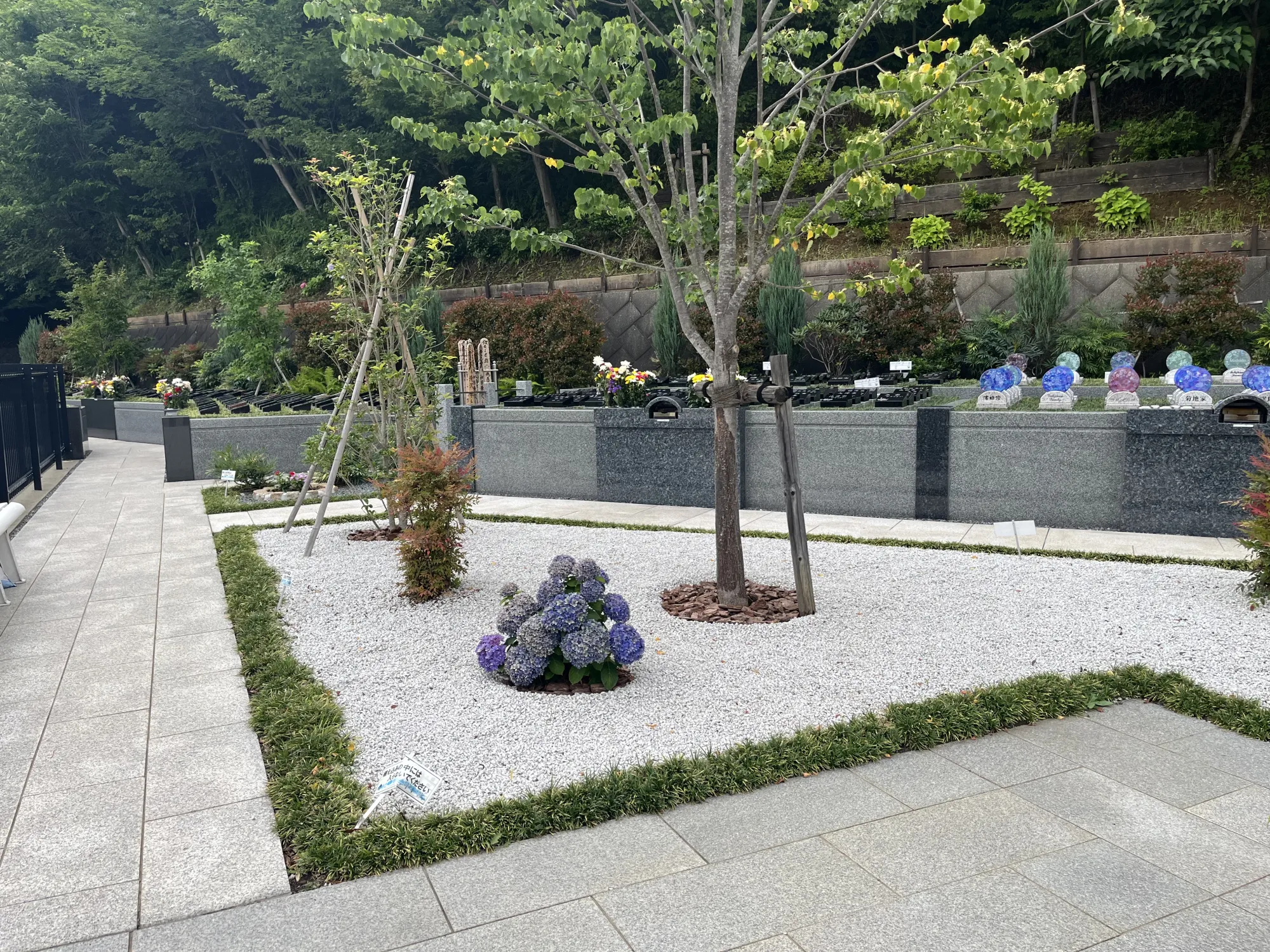 メモリアルパーク厚木ふるさとの丘 園内風景31