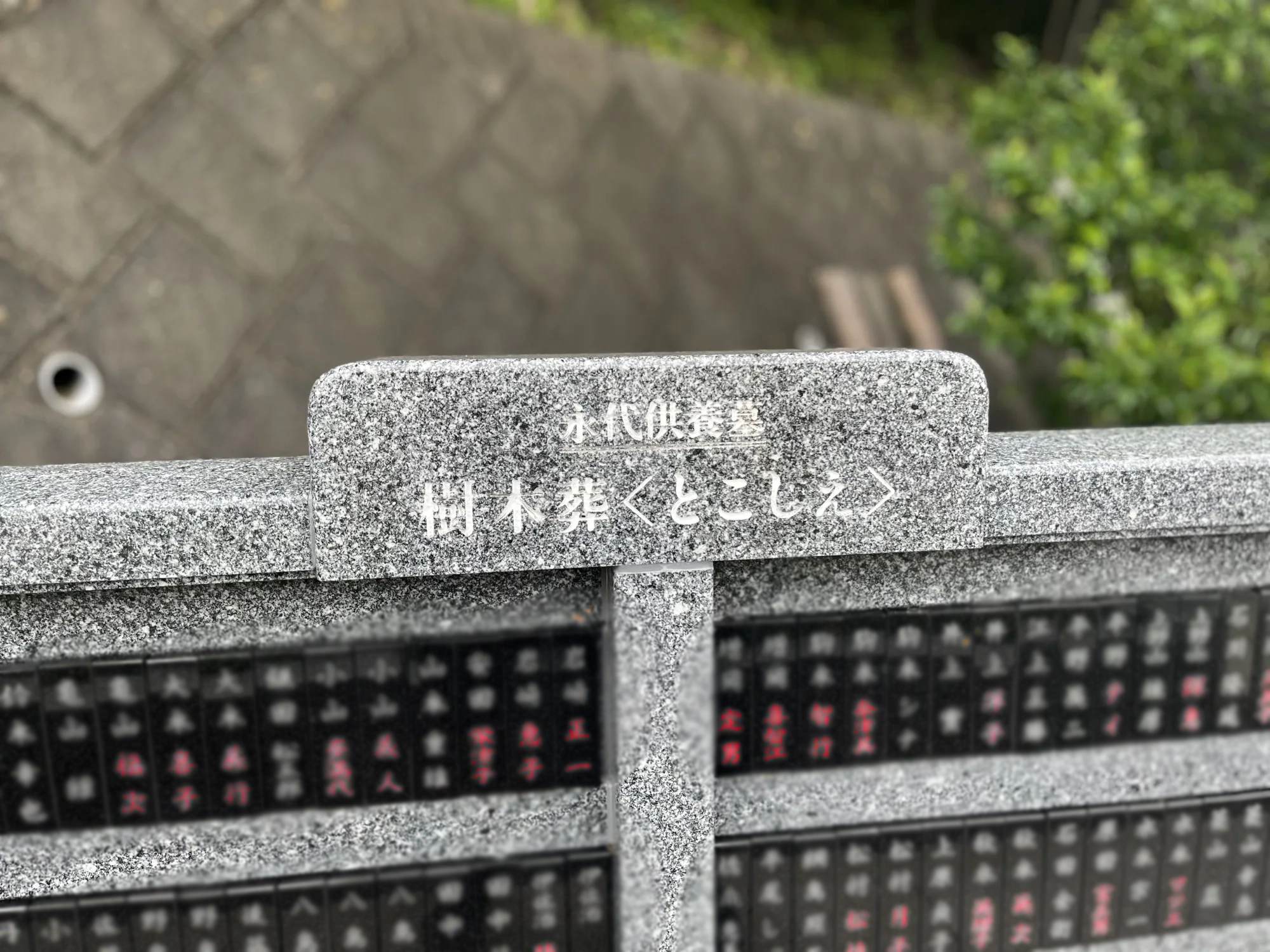 メモリアルパーク厚木ふるさとの丘 樹木葬「とこしえ」銘板