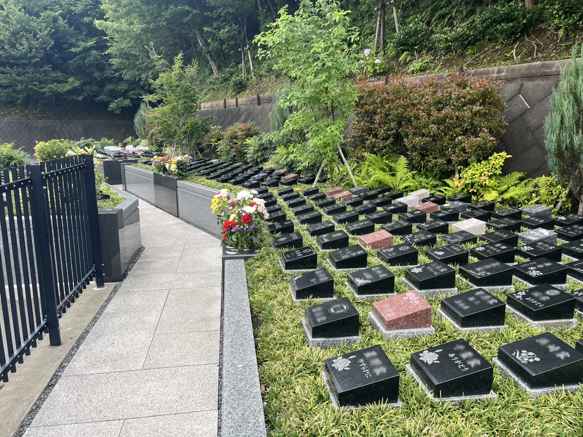 メモリアルパーク厚木ふるさとの丘 園内風景34