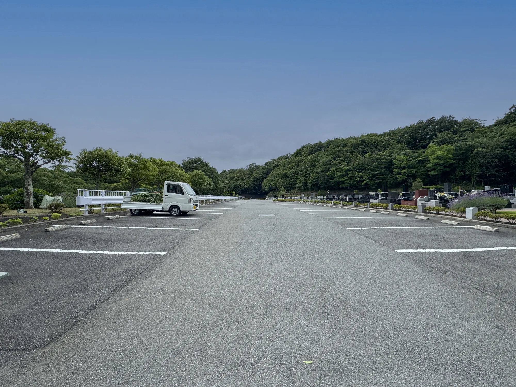 メモリアルパーク厚木ふるさとの丘 園内風景40