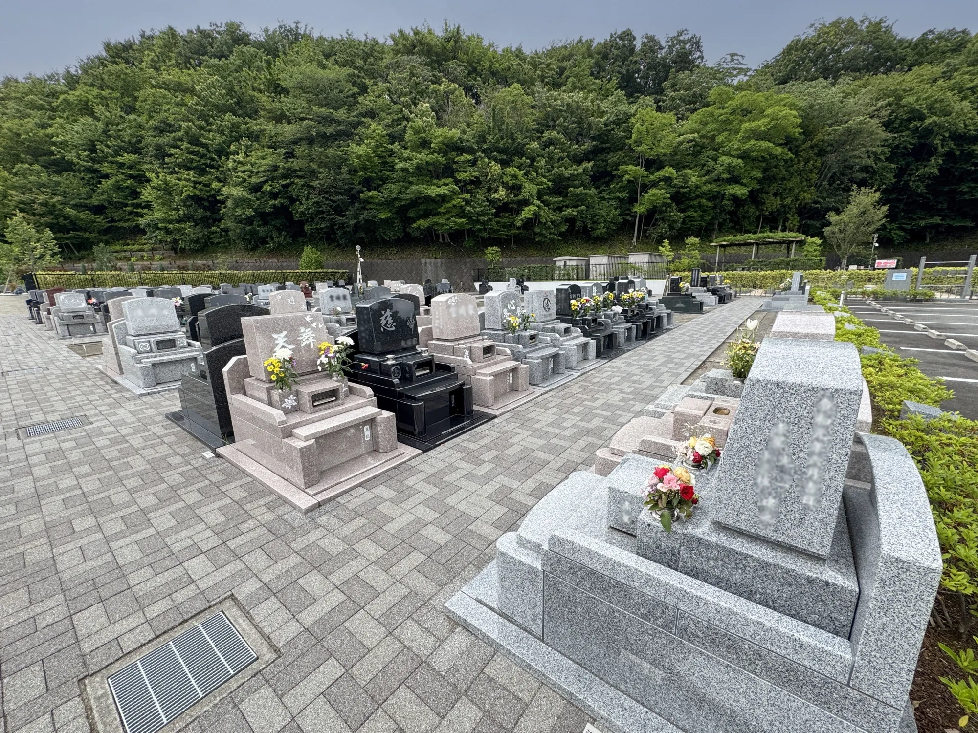 メモリアルパーク厚木ふるさとの丘 園内風景42