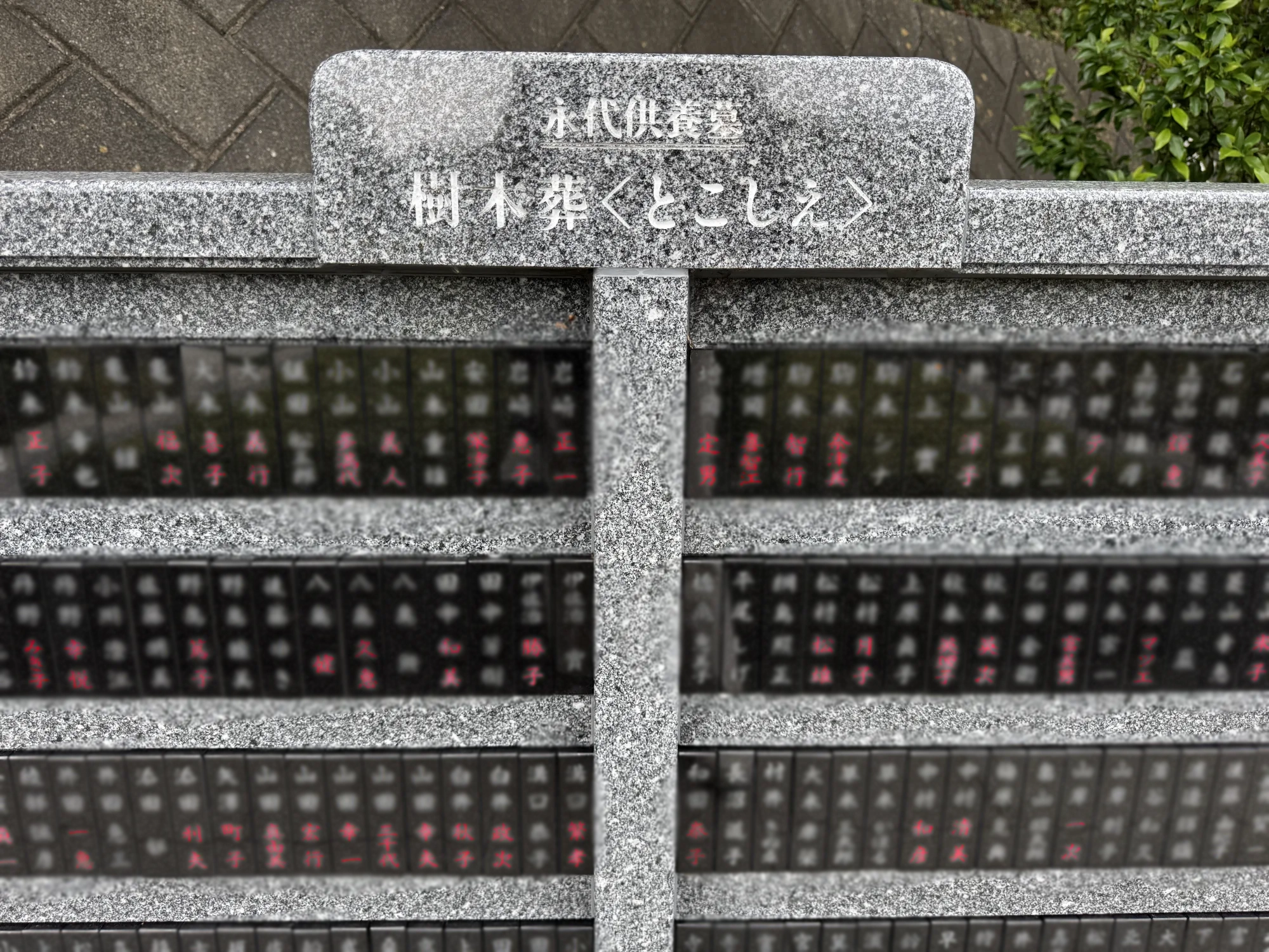 メモリアルパーク厚木ふるさとの丘 園内風景51