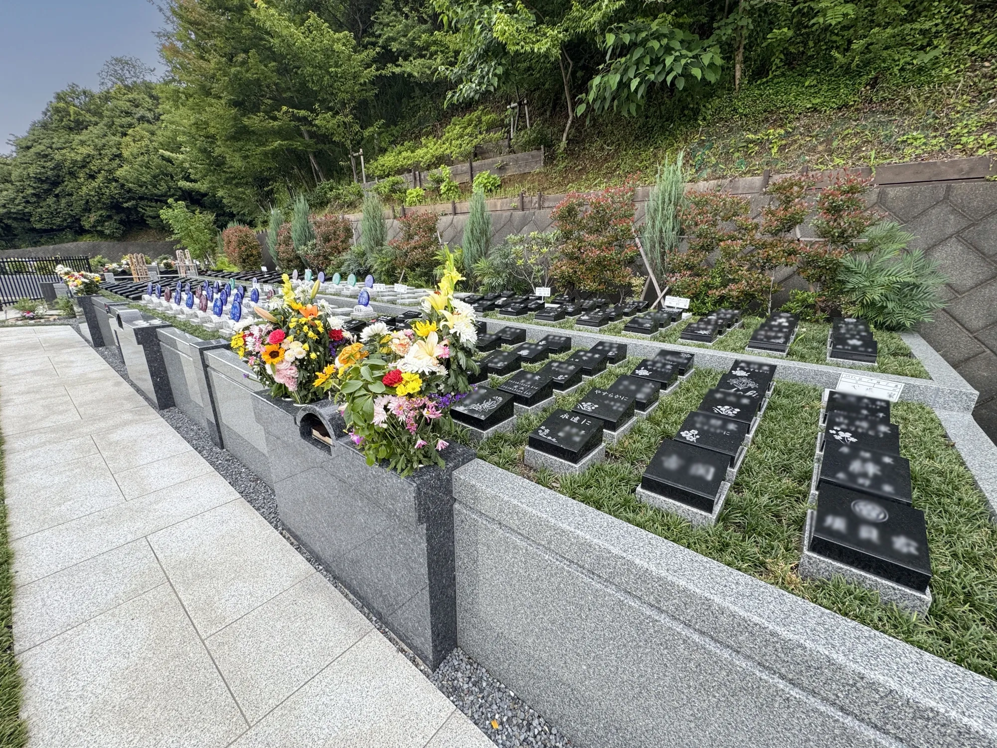 メモリアルパーク厚木ふるさとの丘 園内風景52