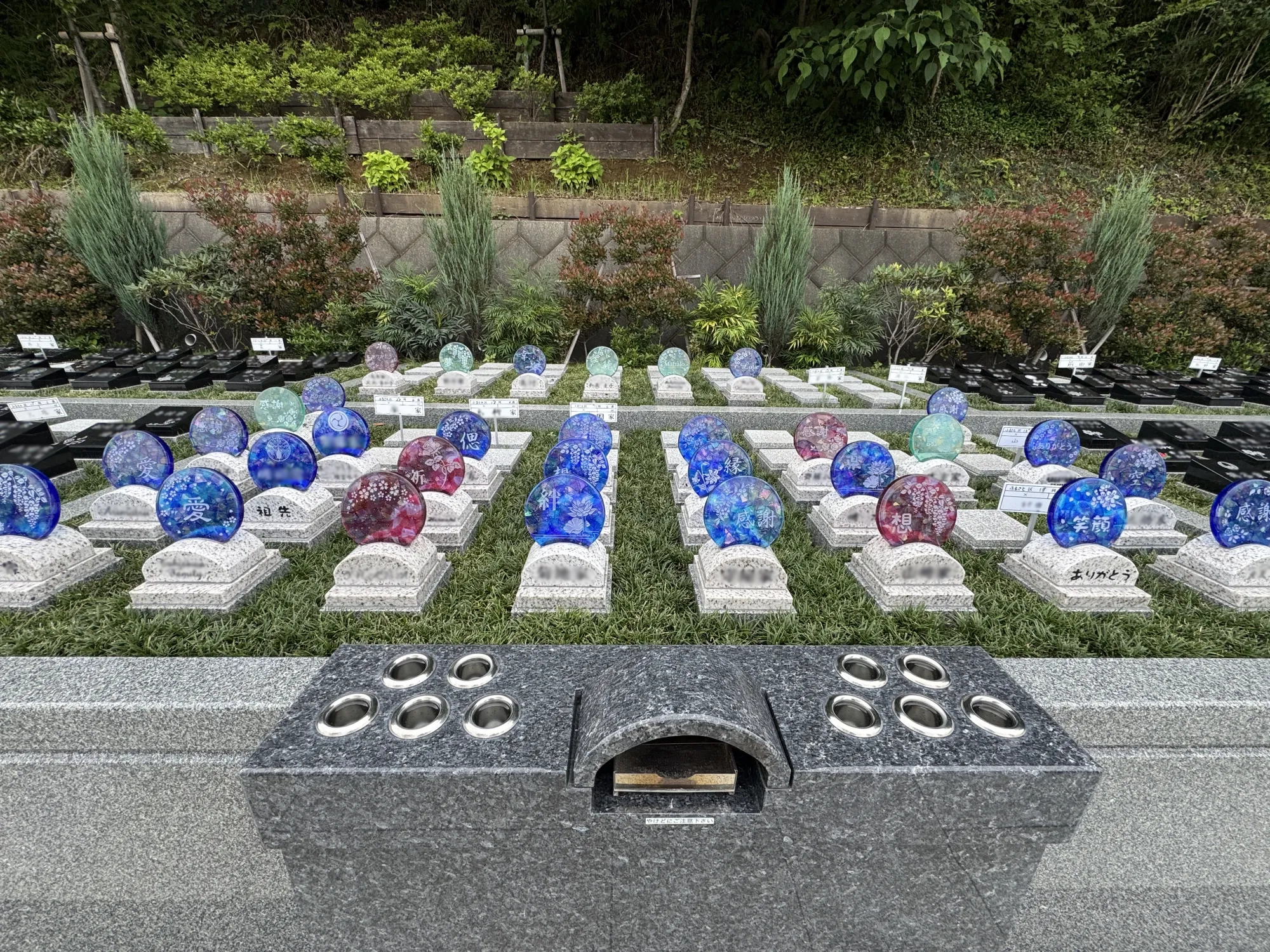 メモリアルパーク厚木ふるさとの丘 園内風景53