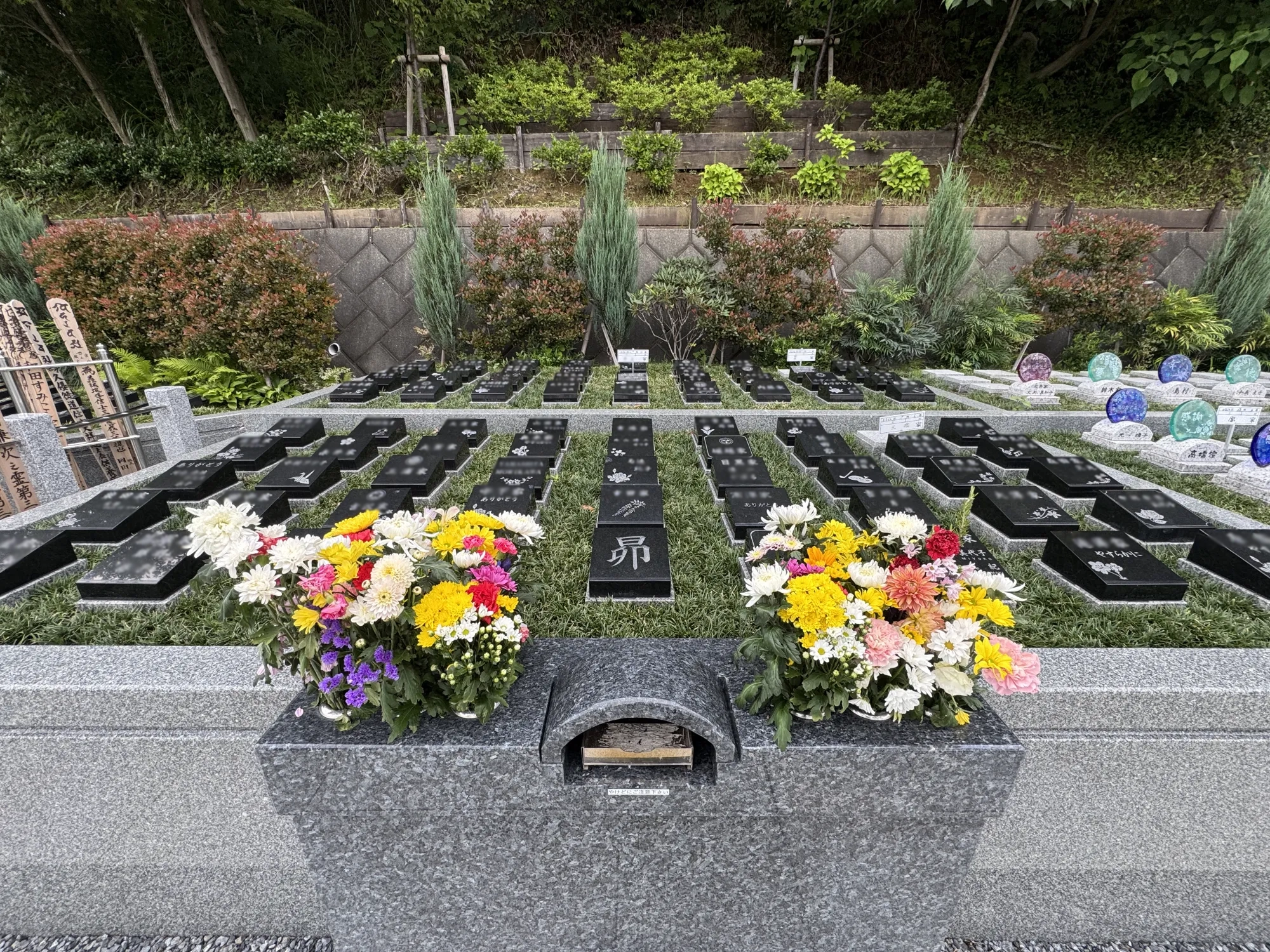 メモリアルパーク厚木ふるさとの丘 園内風景54