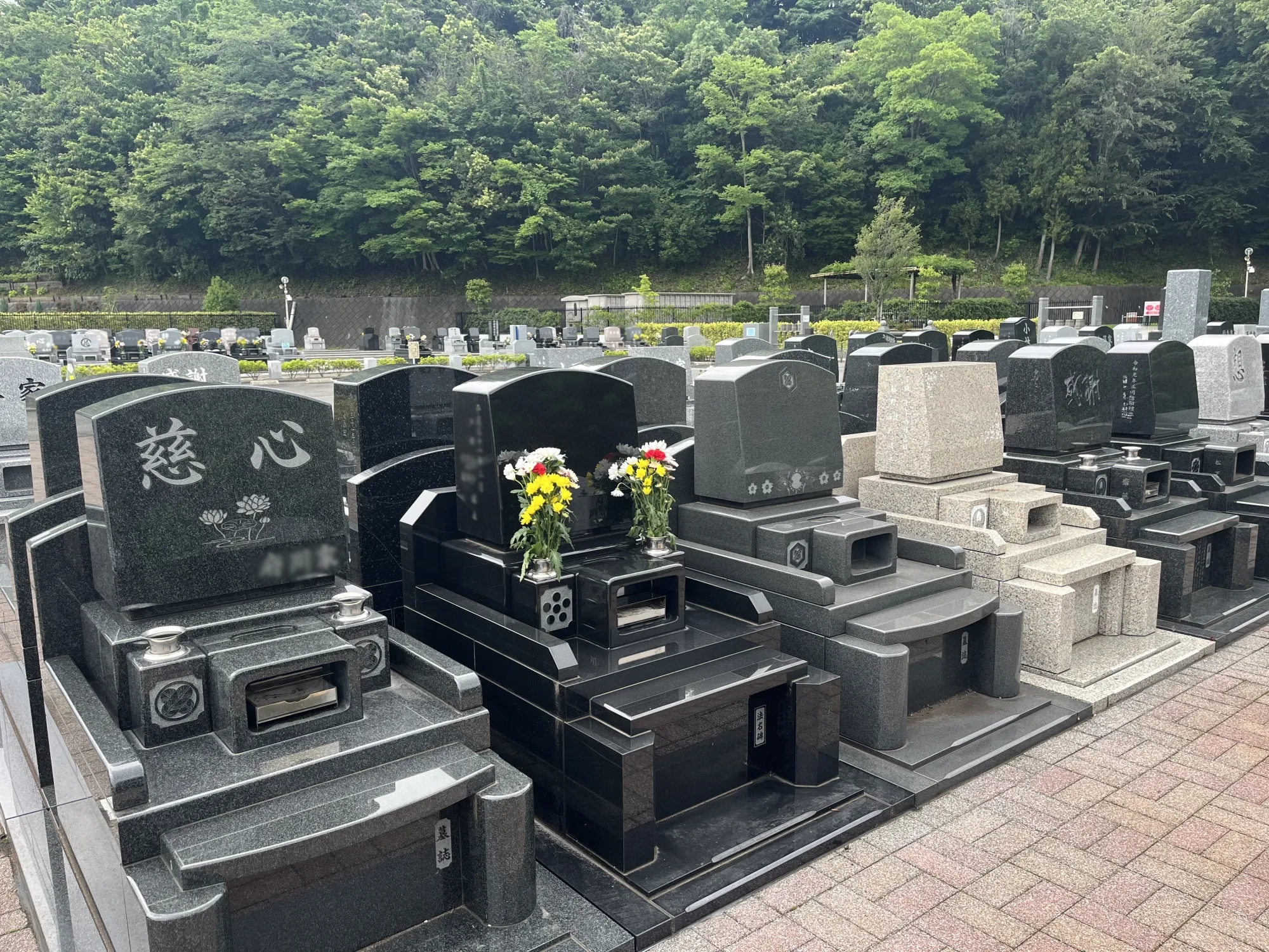 メモリアルパーク厚木ふるさとの丘 園内風景3