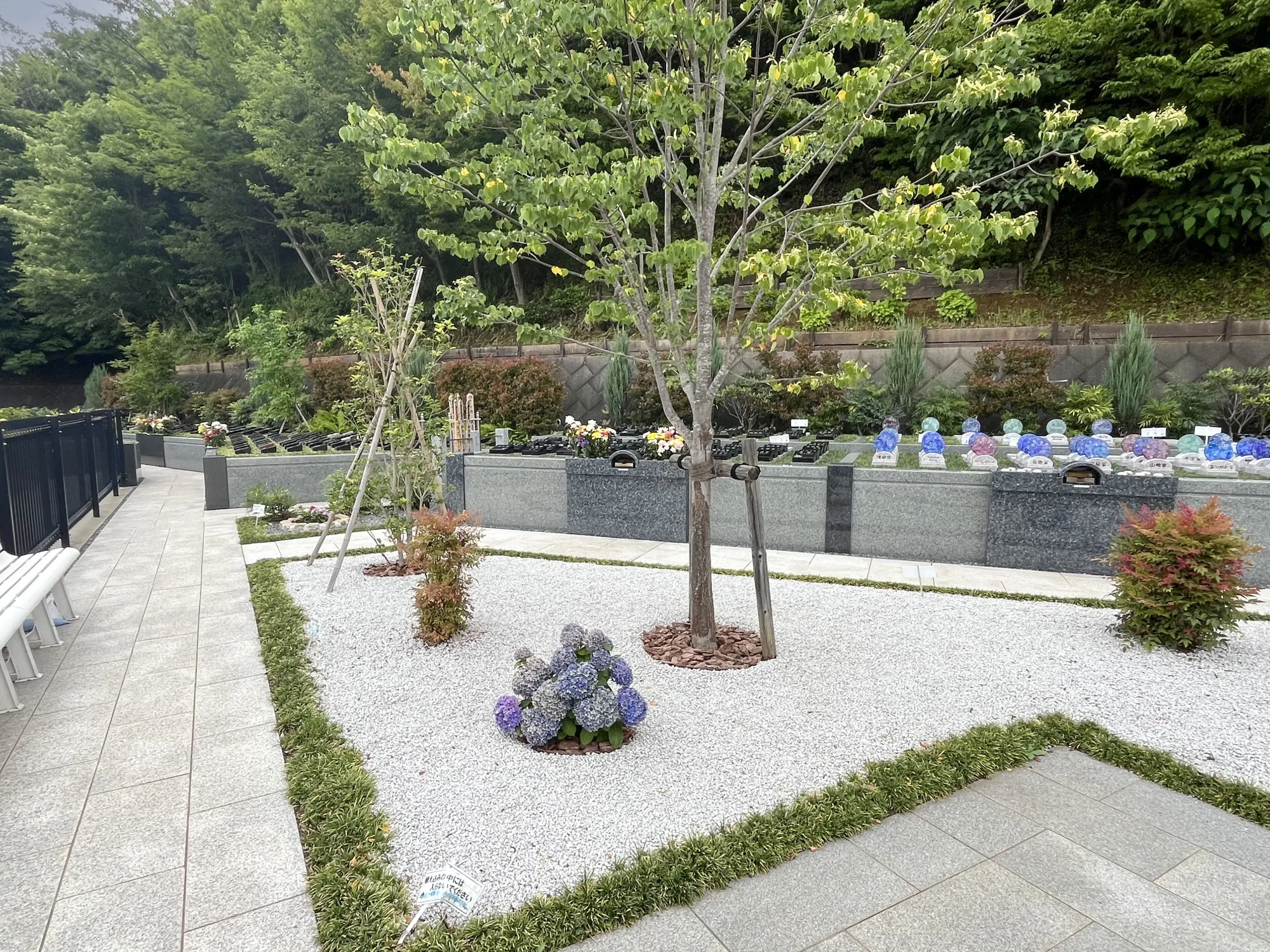 メモリアルパーク厚木ふるさとの丘 園内風景5