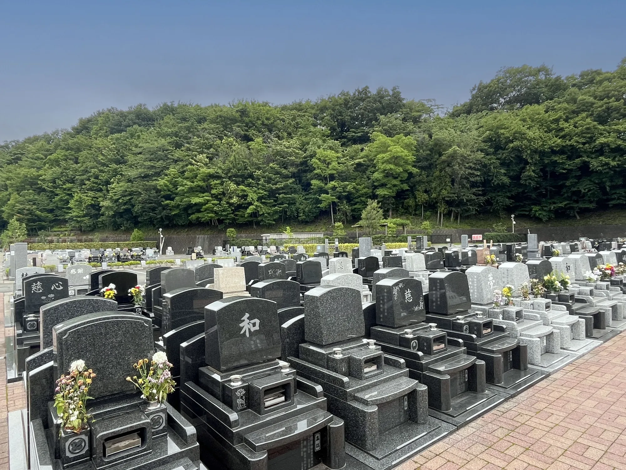 メモリアルパーク厚木ふるさとの丘 園内風景9