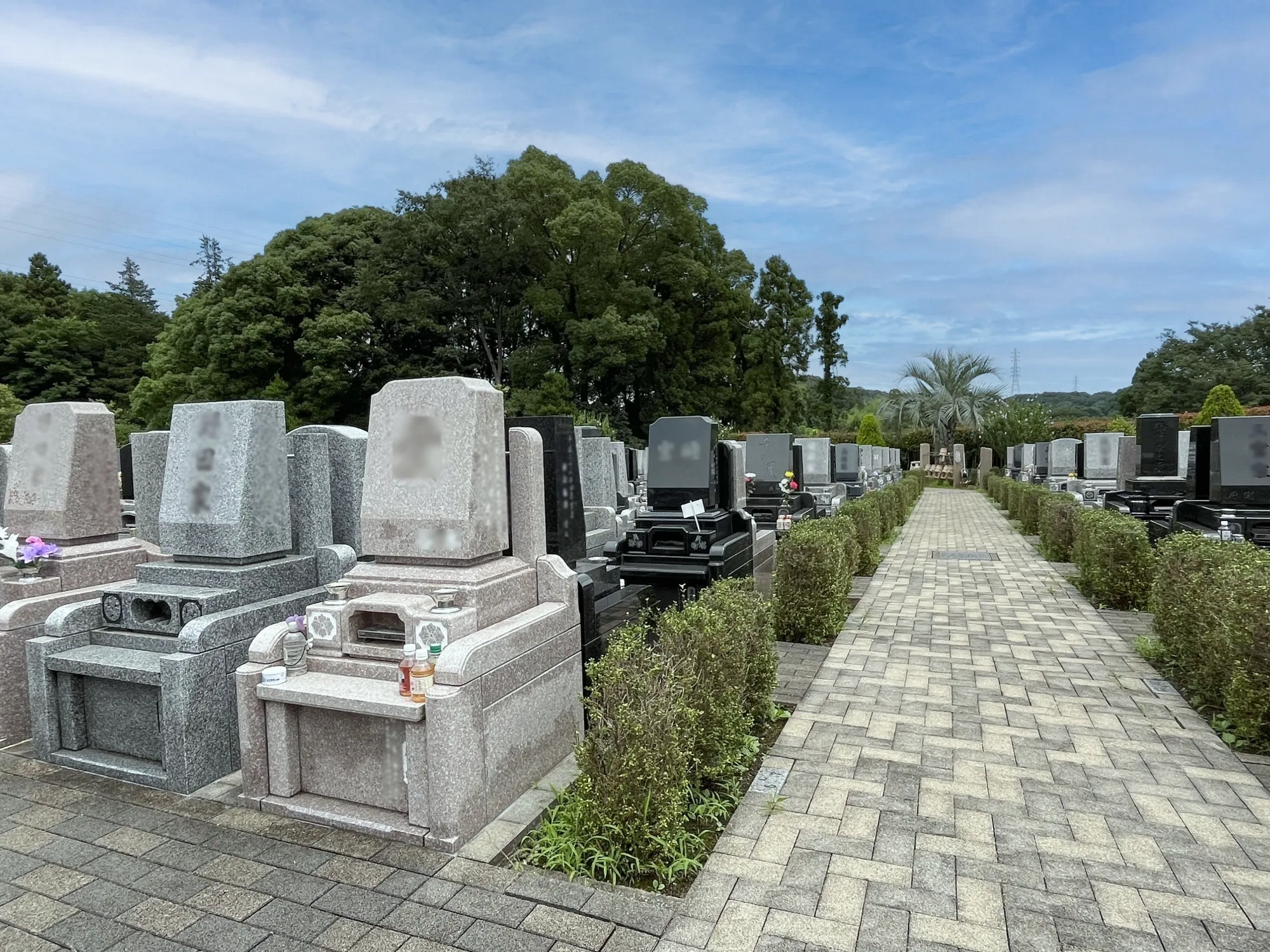 メモリアルパーク藤沢 園内写真