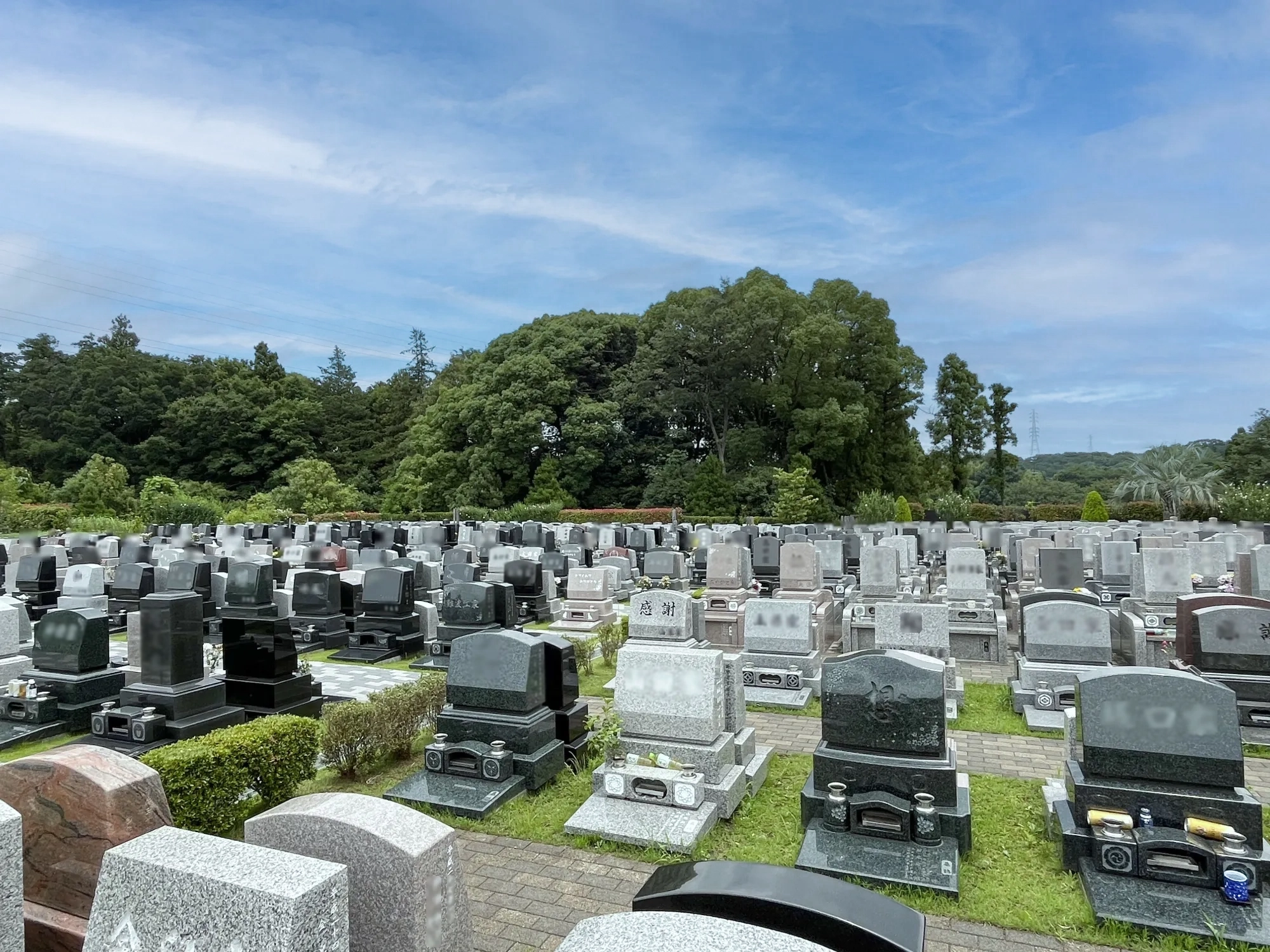 メモリアルパーク藤沢 園内写真