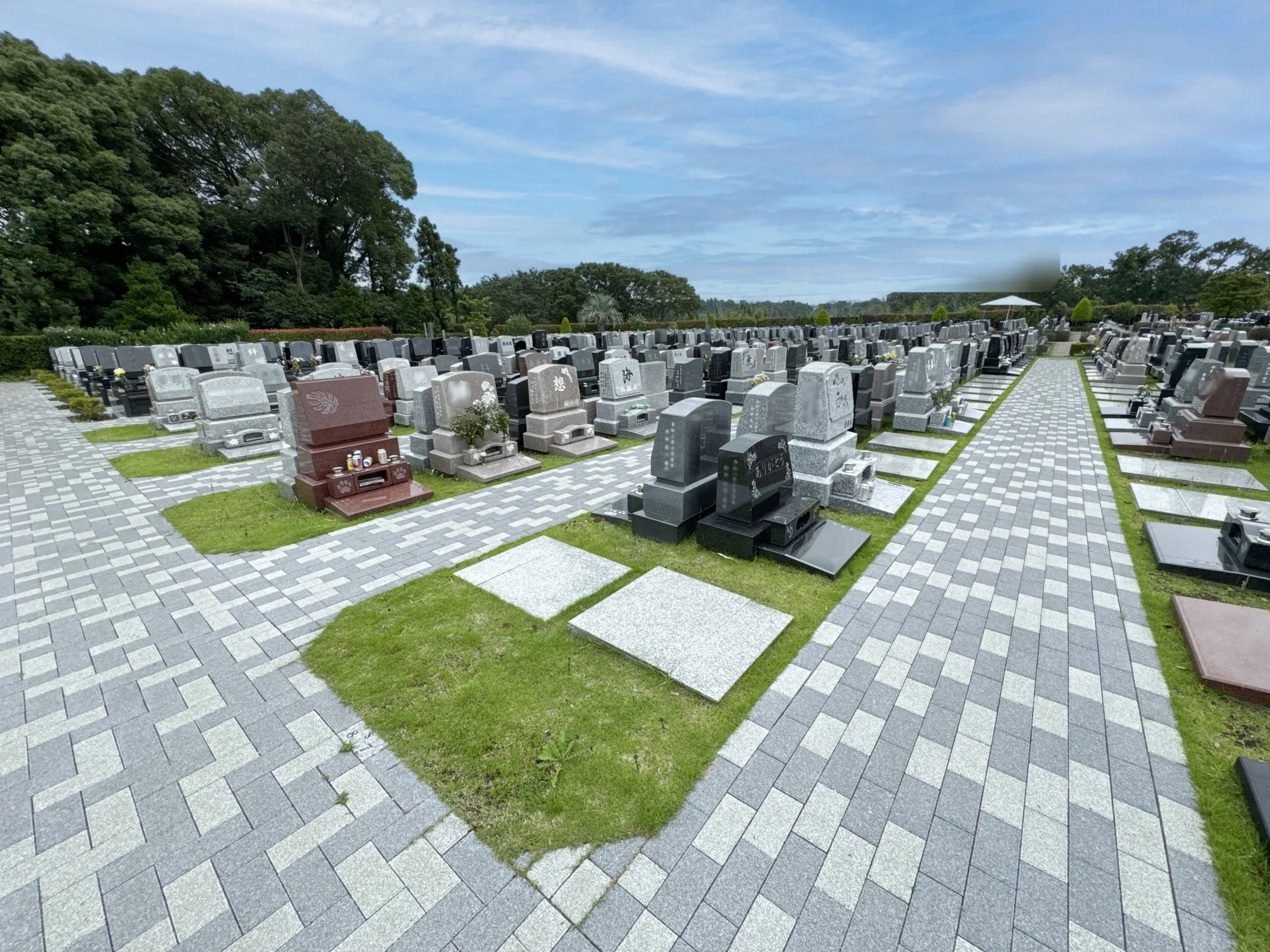 メモリアルパーク藤沢 開放感のある園内