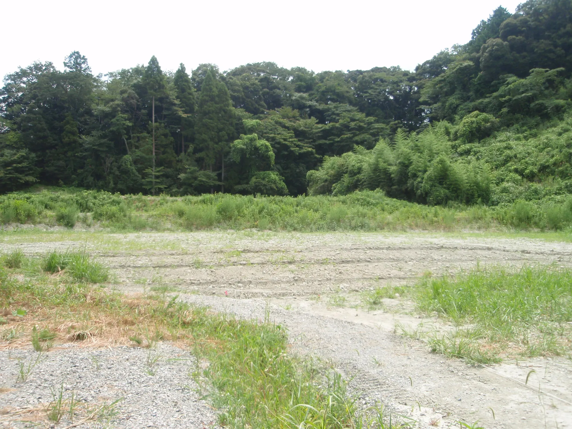 森の墓苑 開苑前の敷地