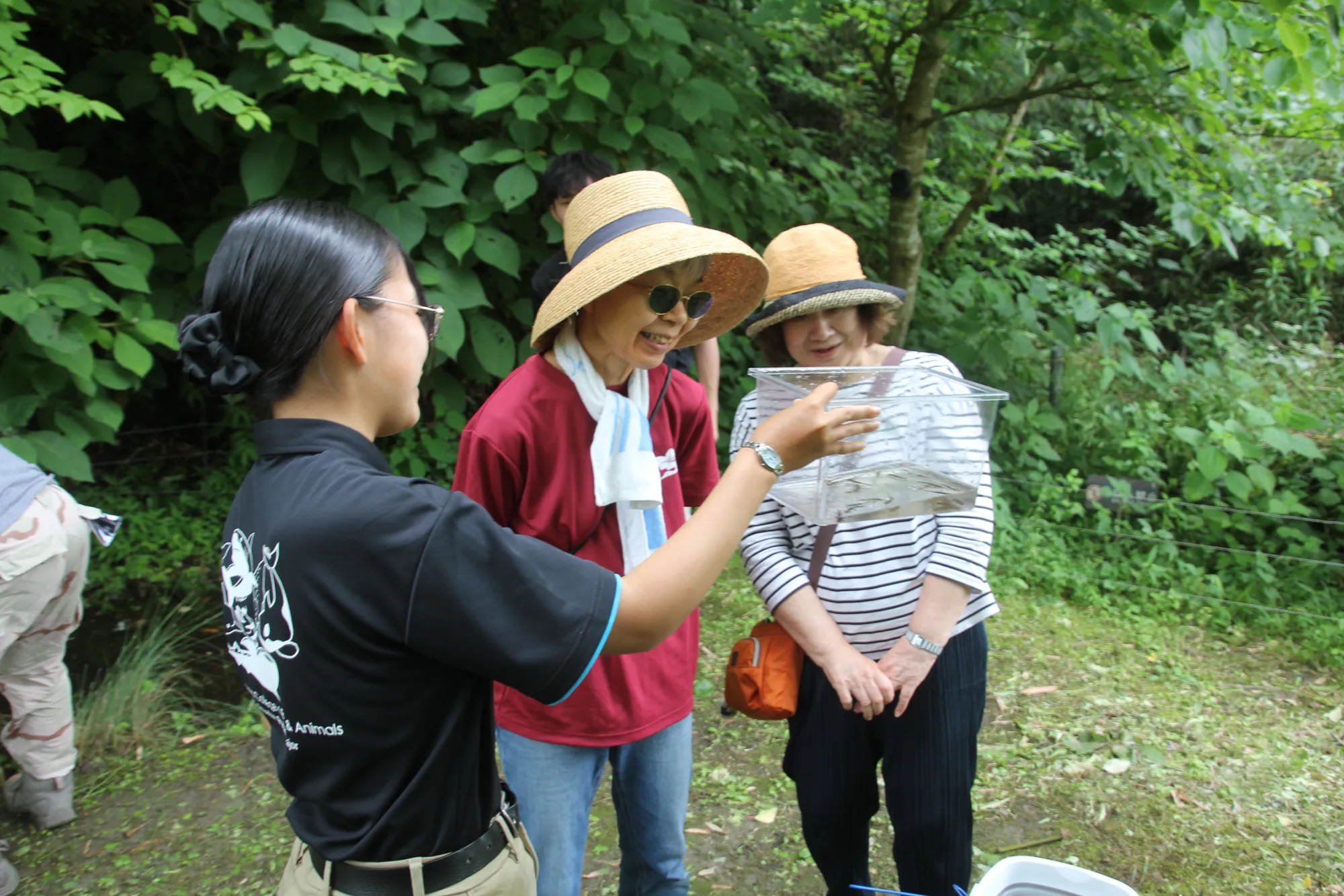森の墓苑 トウキョウサンショウウオ放流会