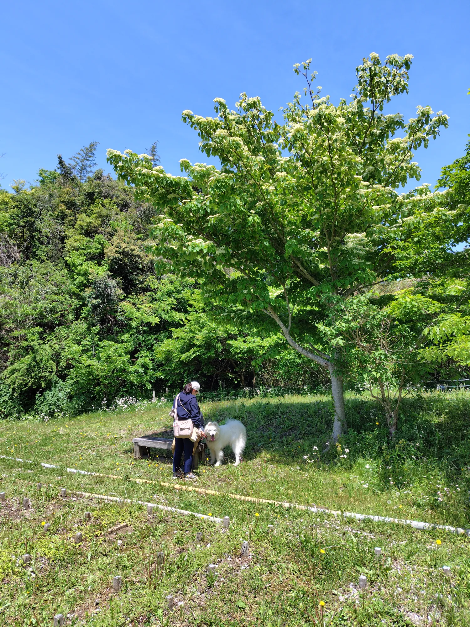 森の墓苑 ペットと一緒のお参り