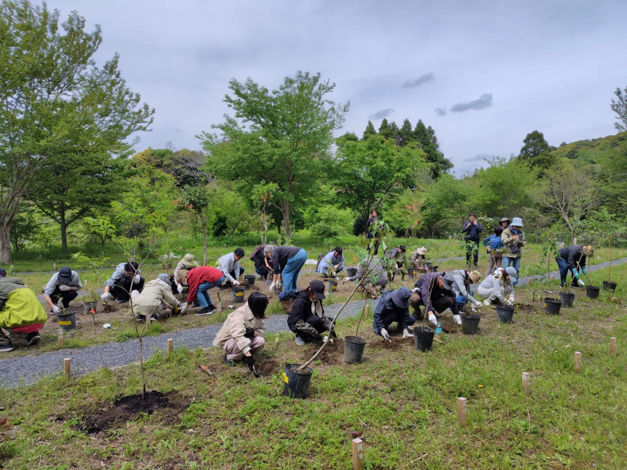 森の墓苑 植樹草会